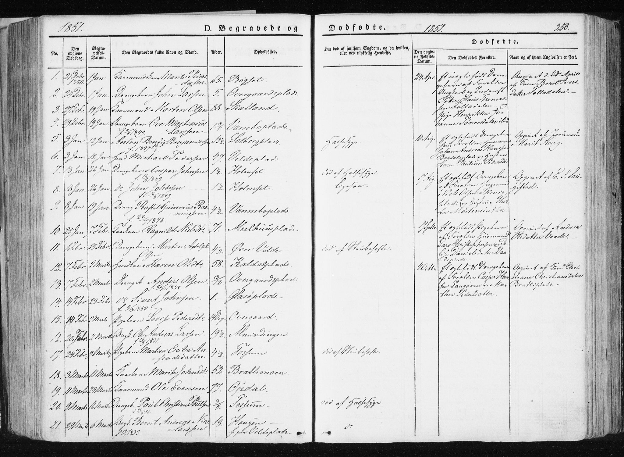 Ministerialprotokoller, klokkerbøker og fødselsregistre - Nord-Trøndelag, SAT/A-1458/741/L0393: Parish register (official) no. 741A07, 1849-1863, p. 250
