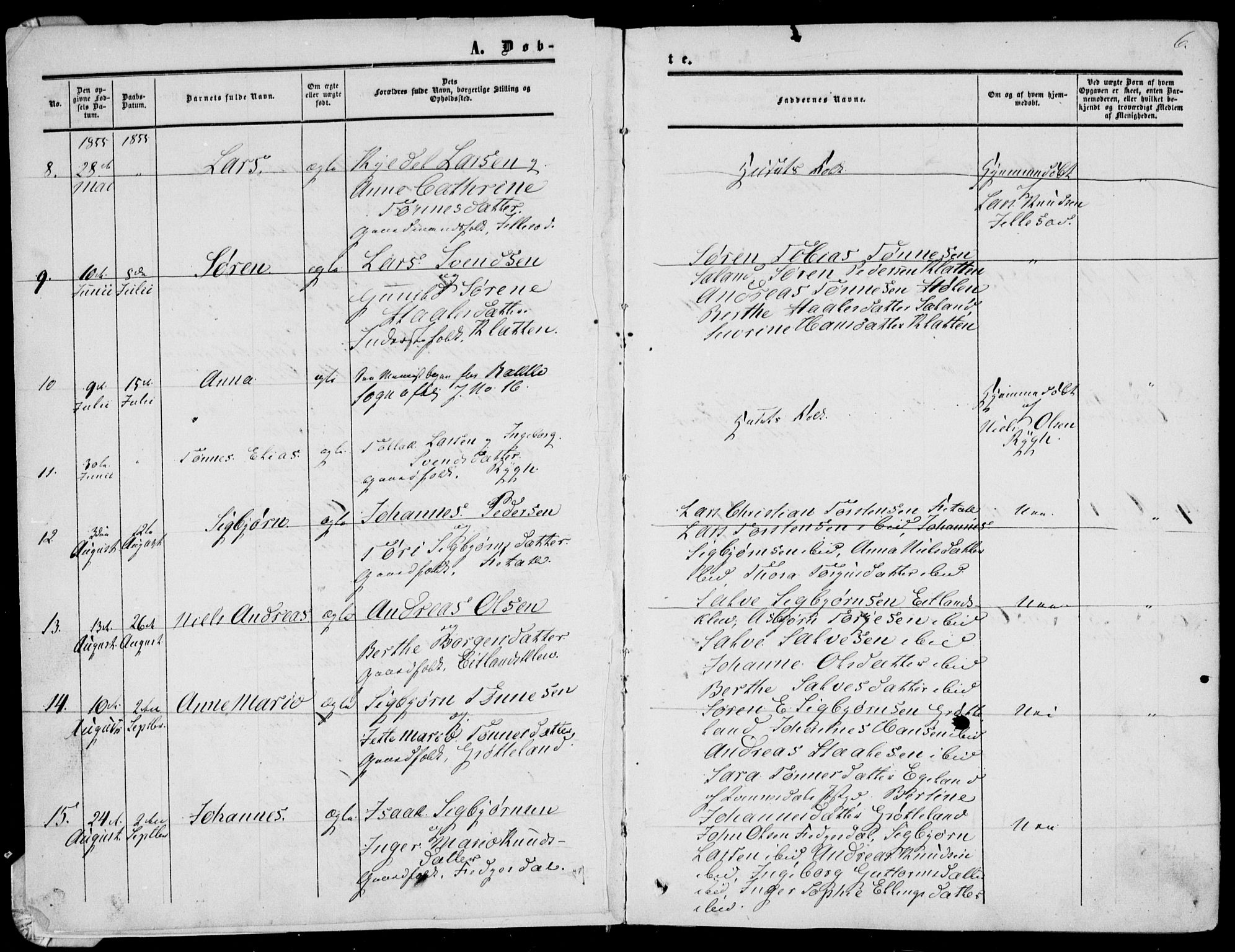 Bakke sokneprestkontor, AV/SAK-1111-0002/F/Fa/Fab/L0002: Parish register (official) no. A 2, 1855-1884, p. 6