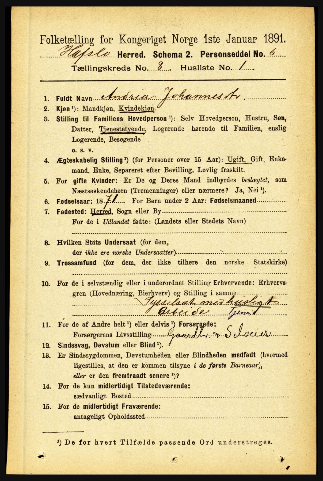 RA, 1891 census for 1425 Hafslo, 1891, p. 3183