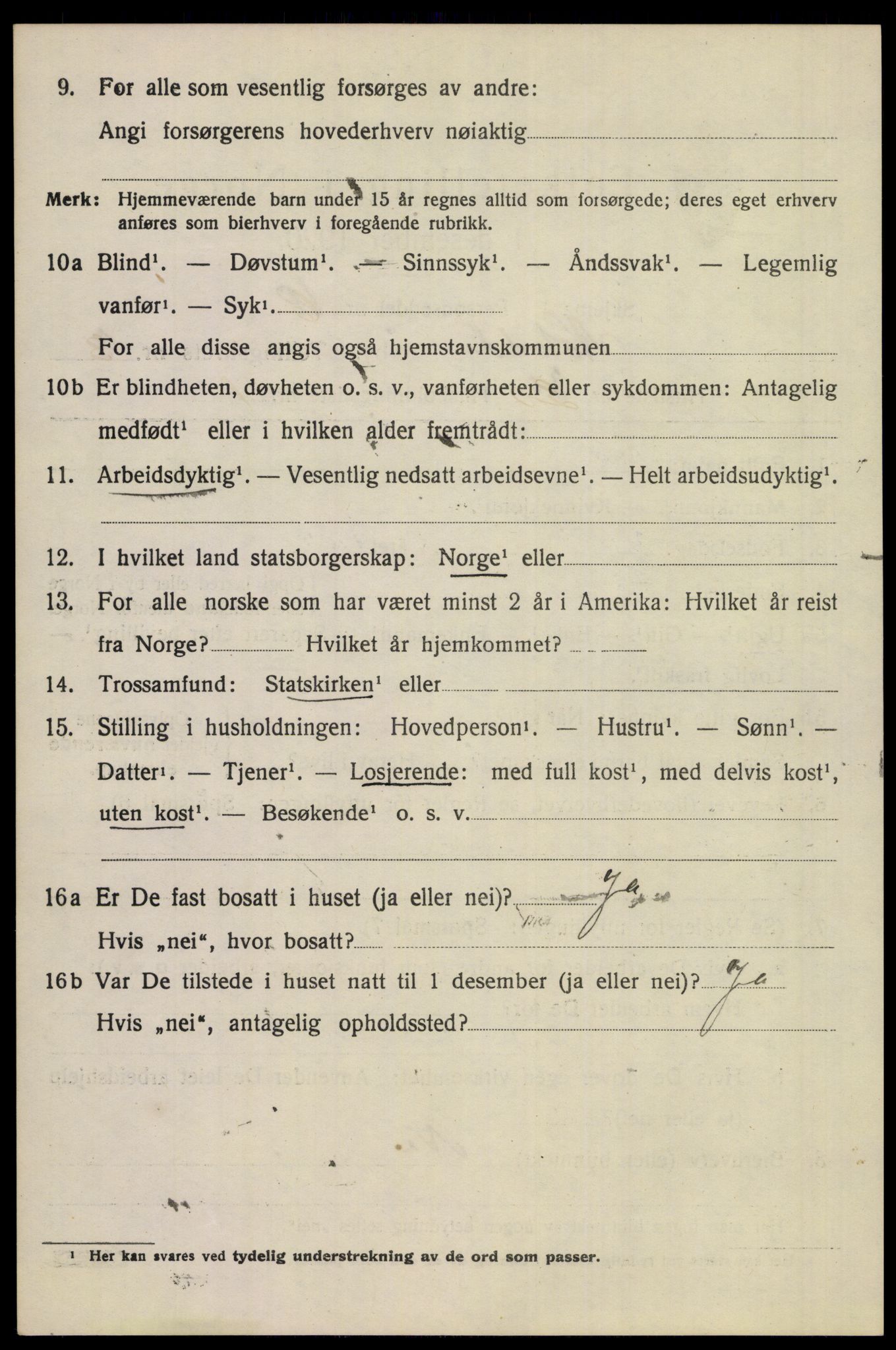 SAKO, 1920 census for Notodden, 1920, p. 8979