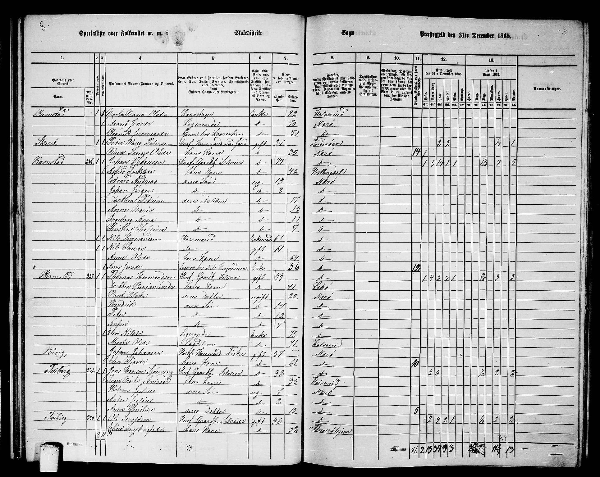 RA, 1865 census for Nærøy, 1865, p. 31