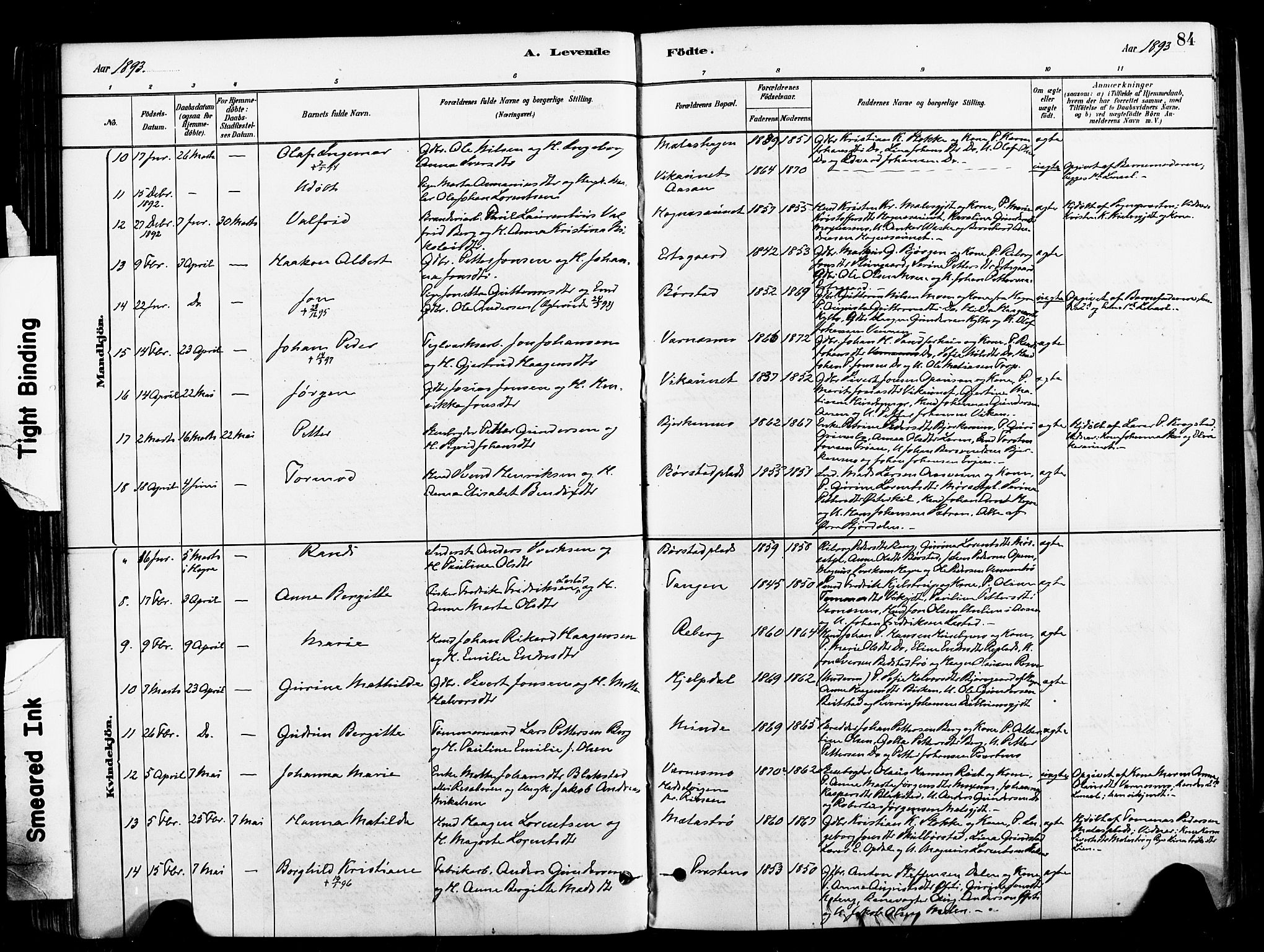 Ministerialprotokoller, klokkerbøker og fødselsregistre - Nord-Trøndelag, AV/SAT-A-1458/709/L0077: Parish register (official) no. 709A17, 1880-1895, p. 84