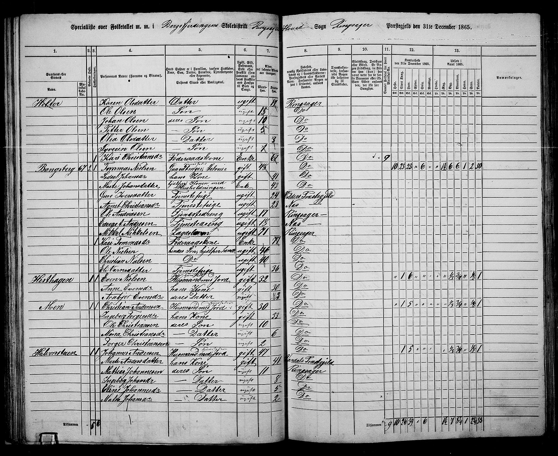 RA, 1865 census for Ringsaker, 1865, p. 78