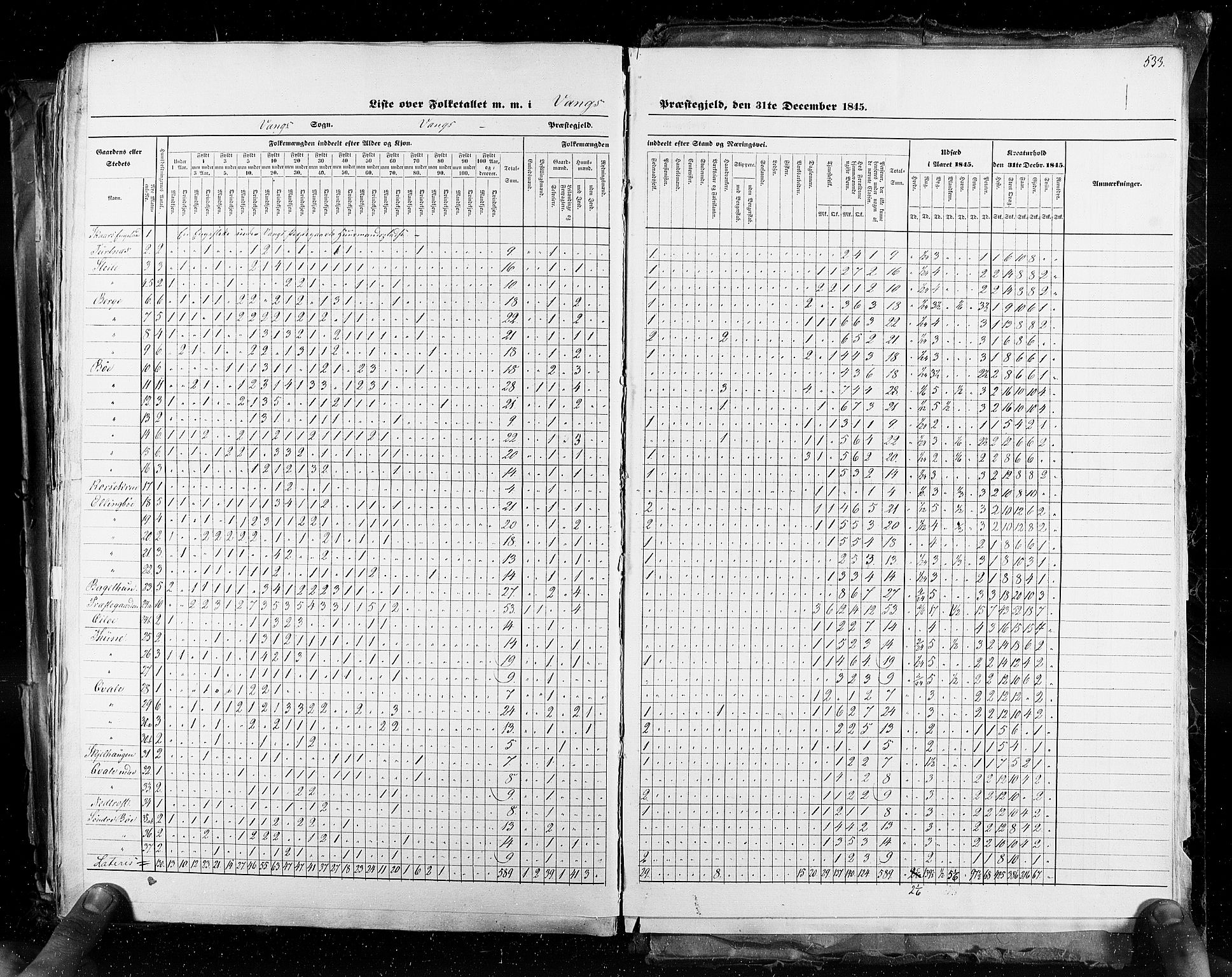 RA, Census 1845, vol. 3: Hedemarken amt og Kristians amt, 1845, p. 533