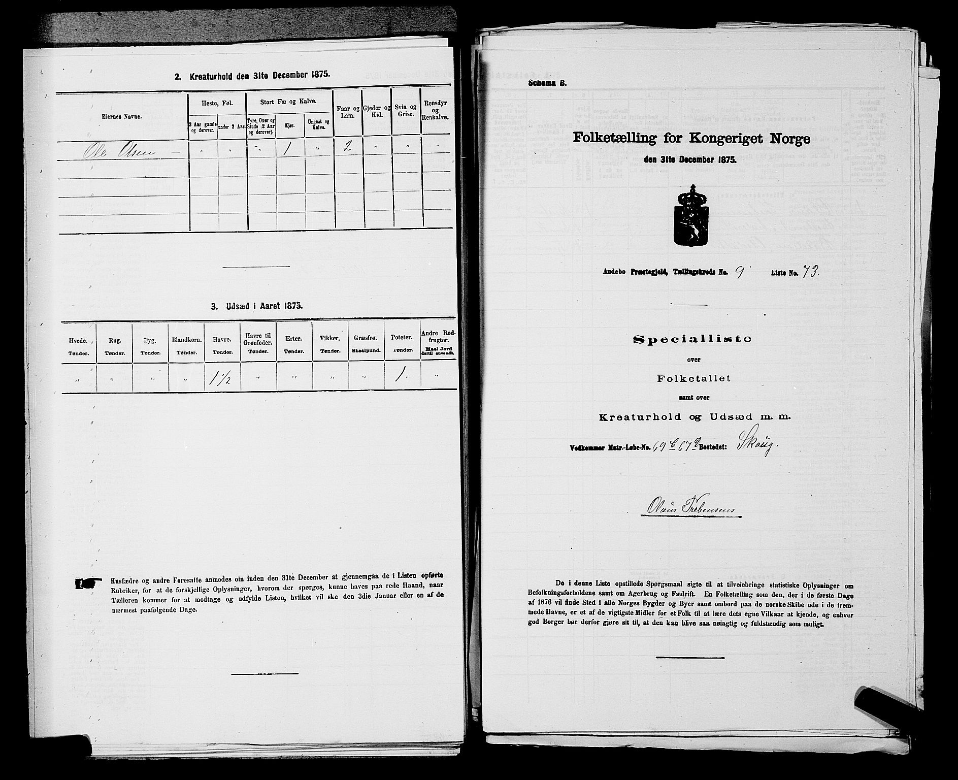 SAKO, 1875 census for 0719P Andebu, 1875, p. 993