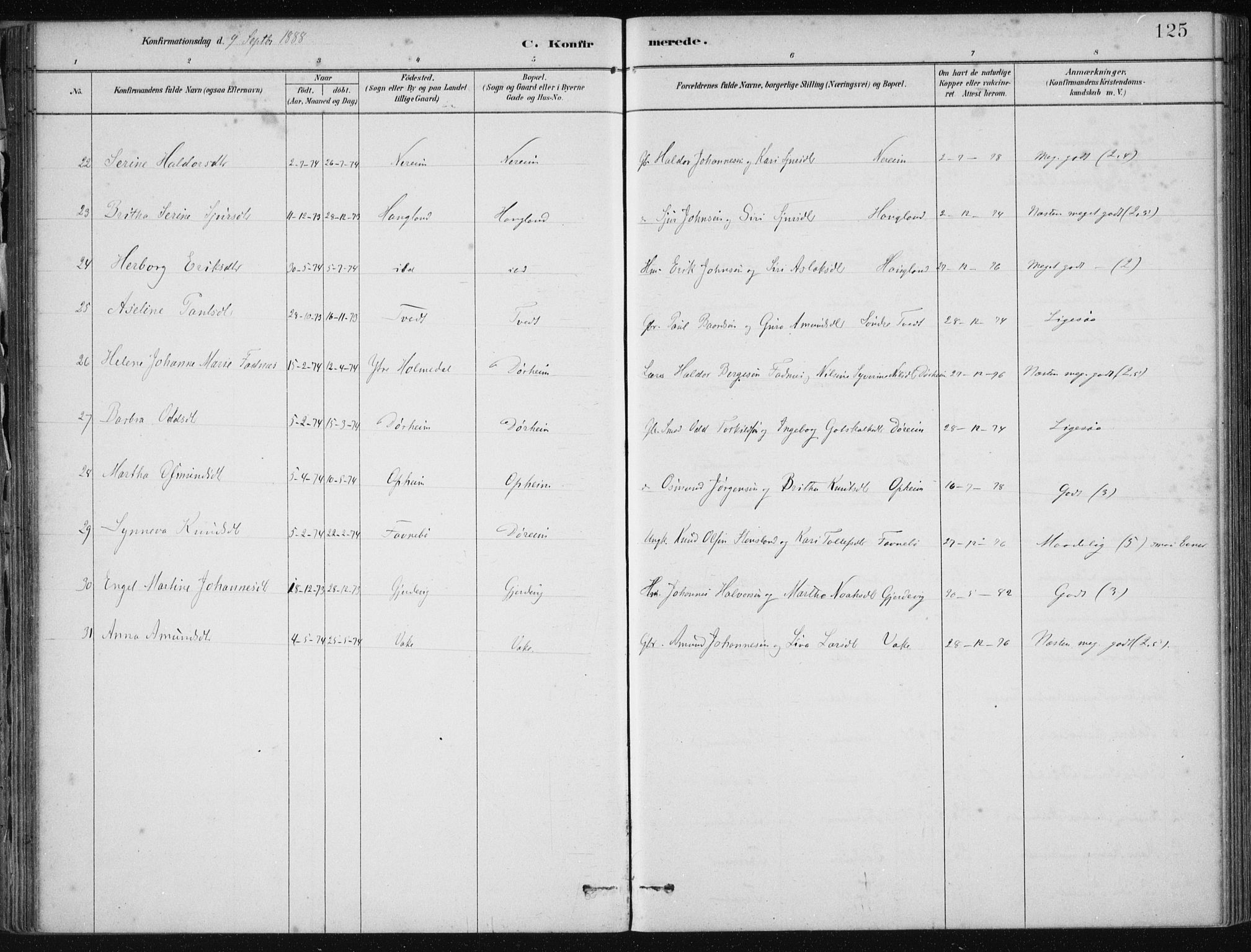 Fjelberg sokneprestembete, AV/SAB-A-75201/H/Haa: Parish register (official) no. D 1, 1879-1918, p. 125