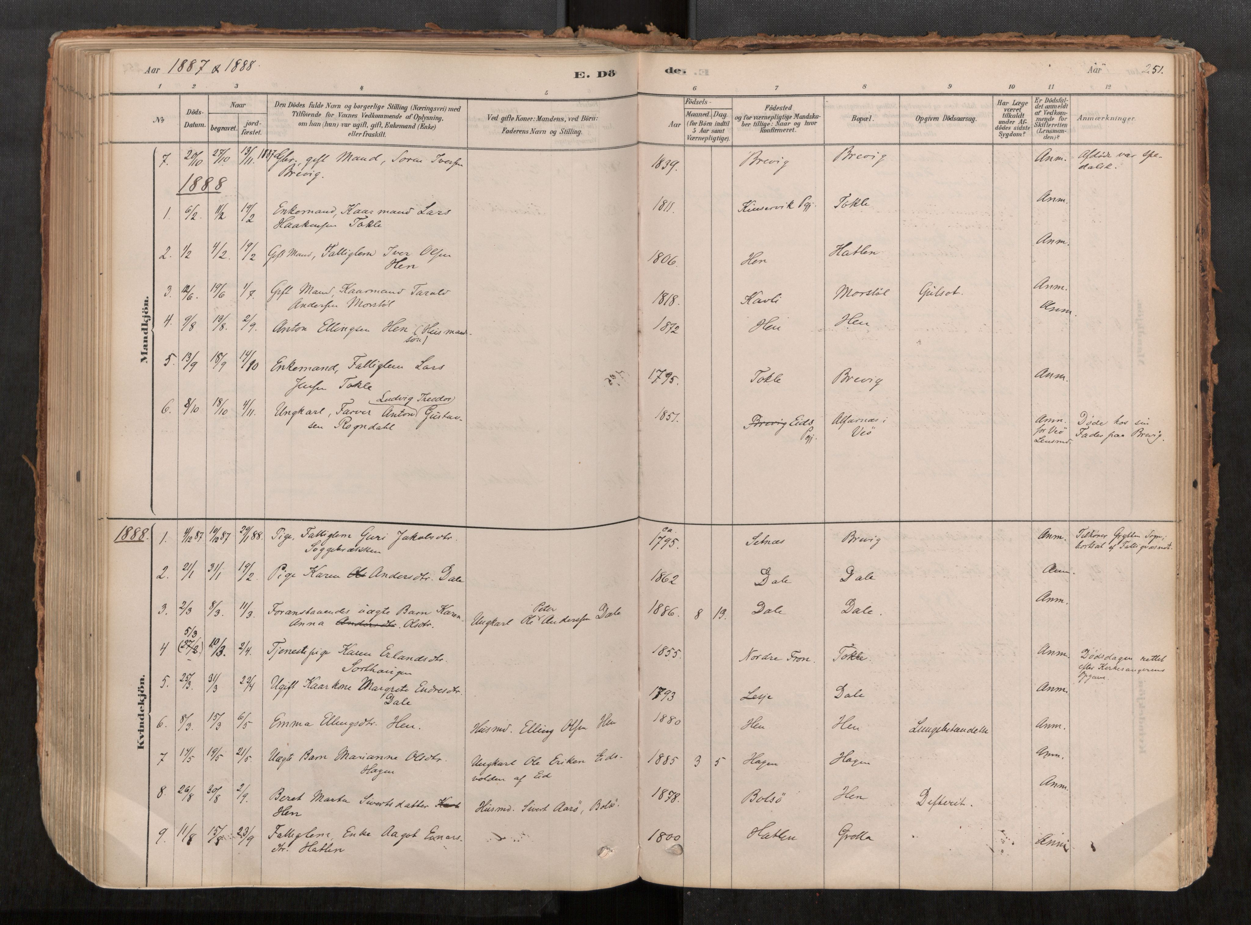 Ministerialprotokoller, klokkerbøker og fødselsregistre - Møre og Romsdal, SAT/A-1454/545/L0594: Parish register (official) no. 545A03, 1878-1920, p. 251