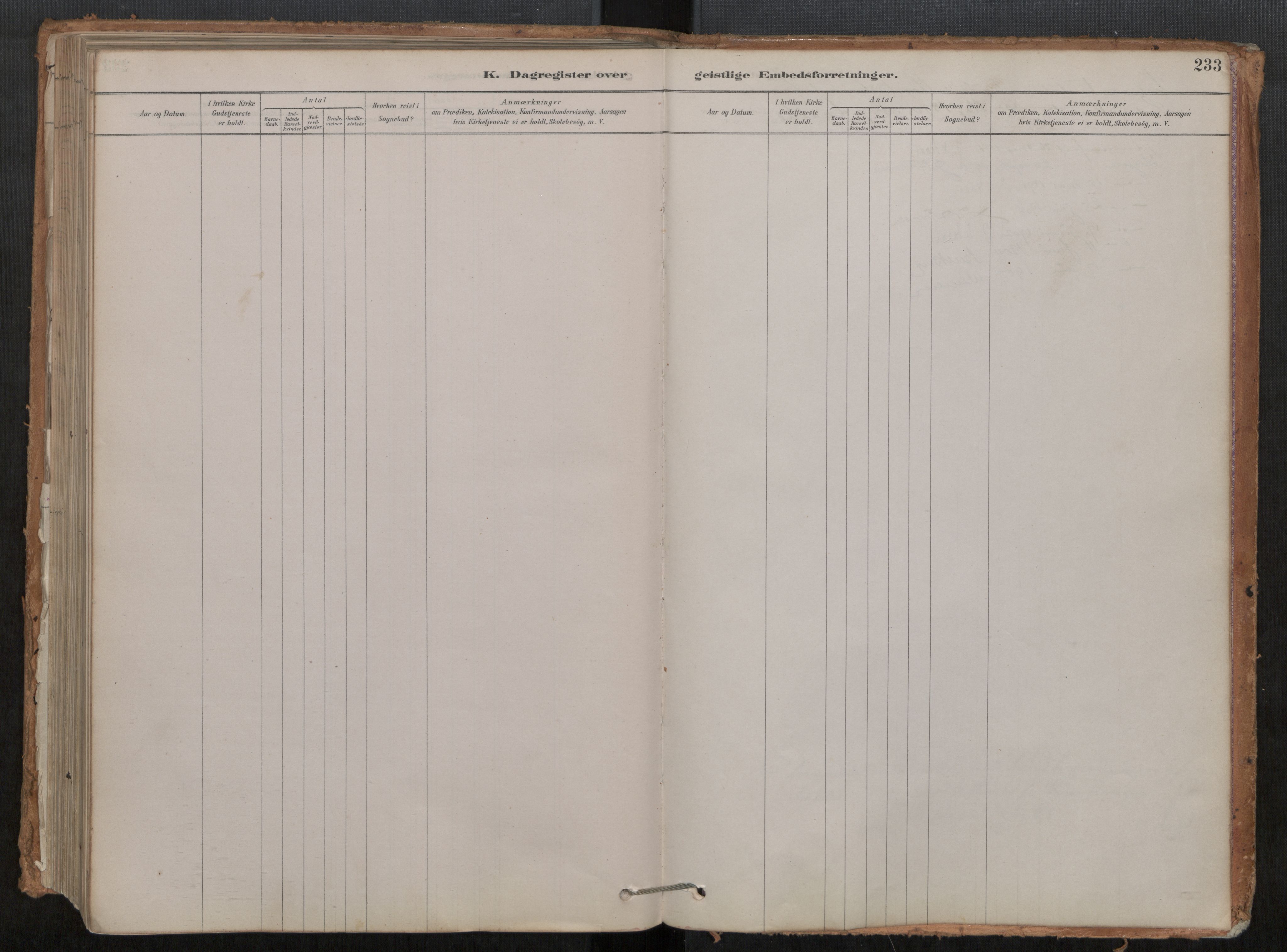 Ministerialprotokoller, klokkerbøker og fødselsregistre - Møre og Romsdal, AV/SAT-A-1454/548/L0615: Parish register (official) no. 548A02, 1878-1906, p. 233