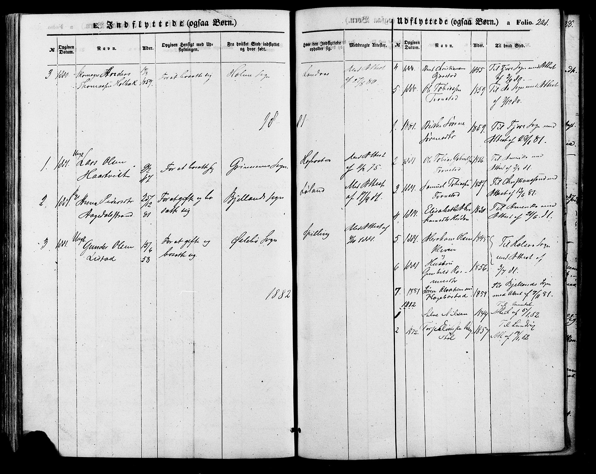 Nord-Audnedal sokneprestkontor, SAK/1111-0032/F/Fa/Fab/L0002: Parish register (official) no. A 2, 1859-1882, p. 221