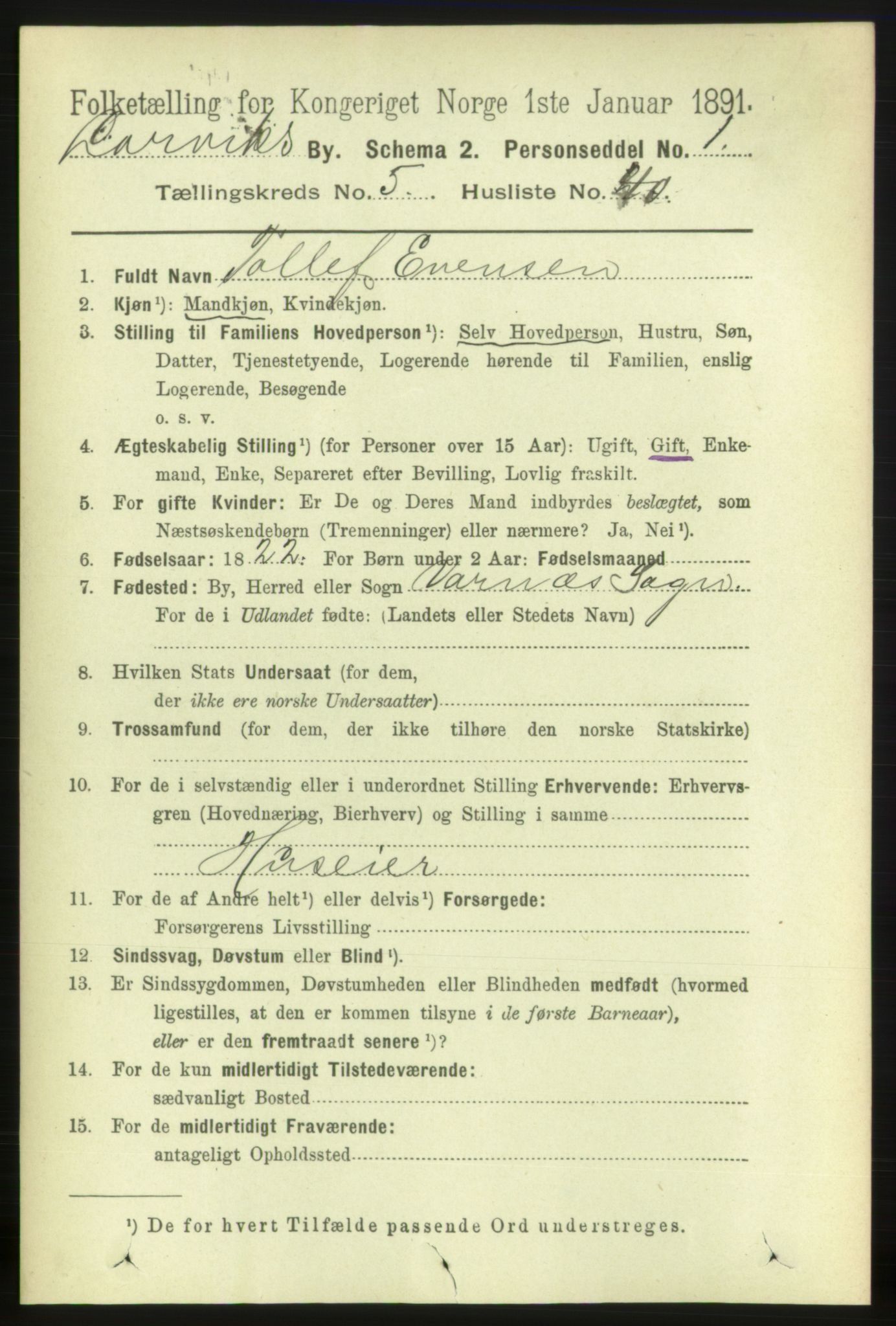 RA, 1891 census for 0707 Larvik, 1891, p. 6402