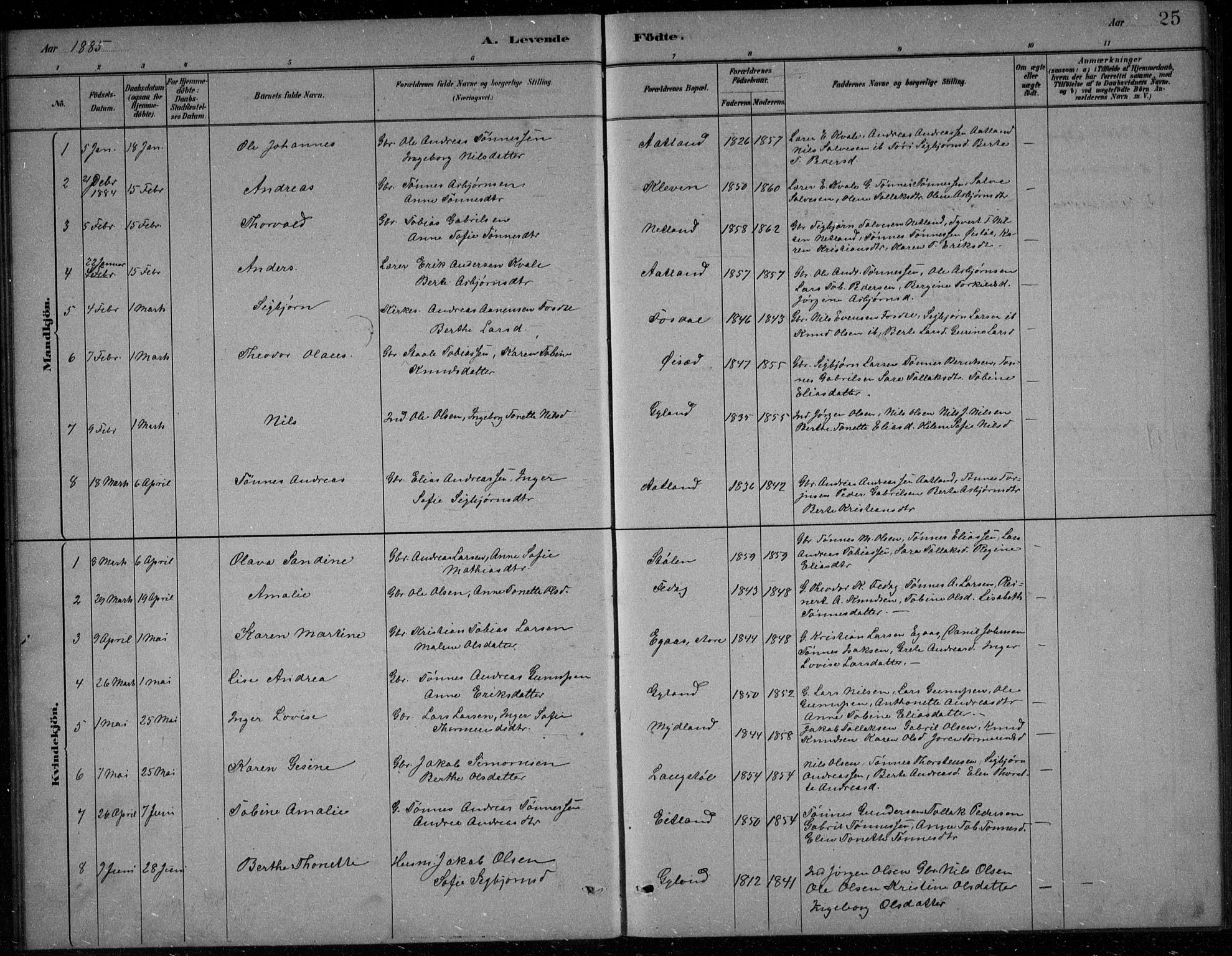 Bakke sokneprestkontor, SAK/1111-0002/F/Fb/Fbb/L0003: Parish register (copy) no. B 3, 1878-1896, p. 25