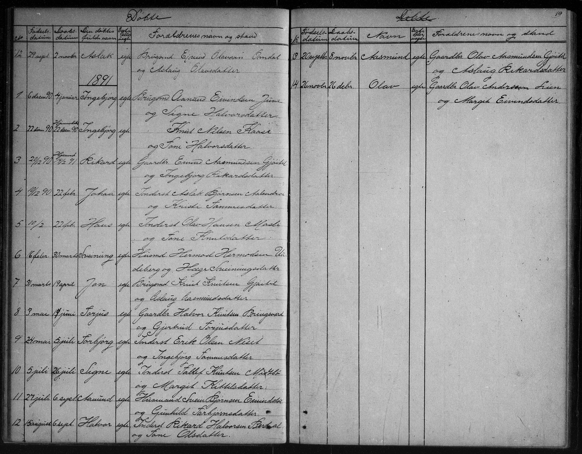 Vinje kirkebøker, SAKO/A-312/G/Gb/L0002: Parish register (copy) no. II 2, 1849-1891, p. 19