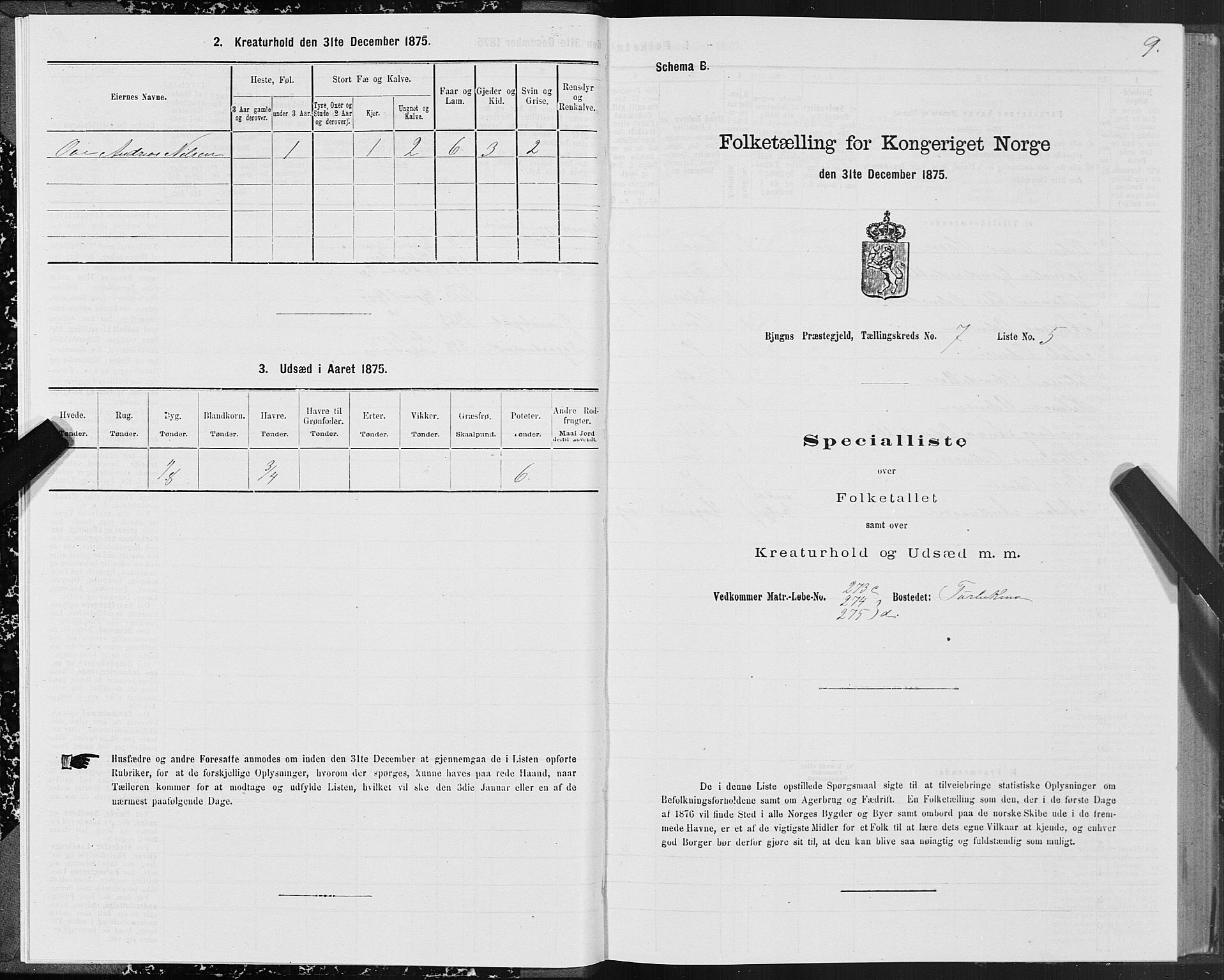 SAT, 1875 census for 1627P Bjugn, 1875, p. 4009