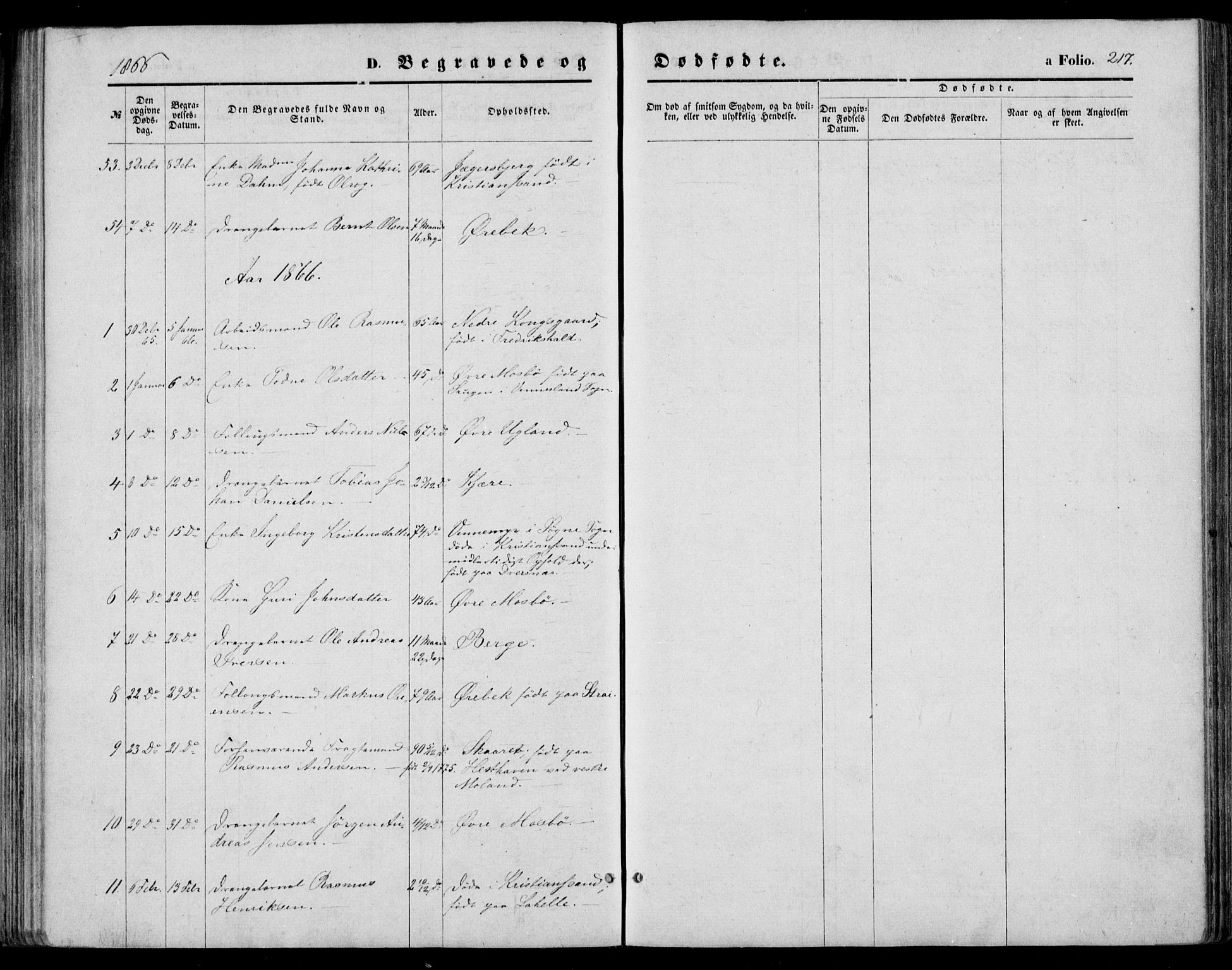 Oddernes sokneprestkontor, AV/SAK-1111-0033/F/Fa/Faa/L0008: Parish register (official) no. A 8, 1864-1880, p. 217