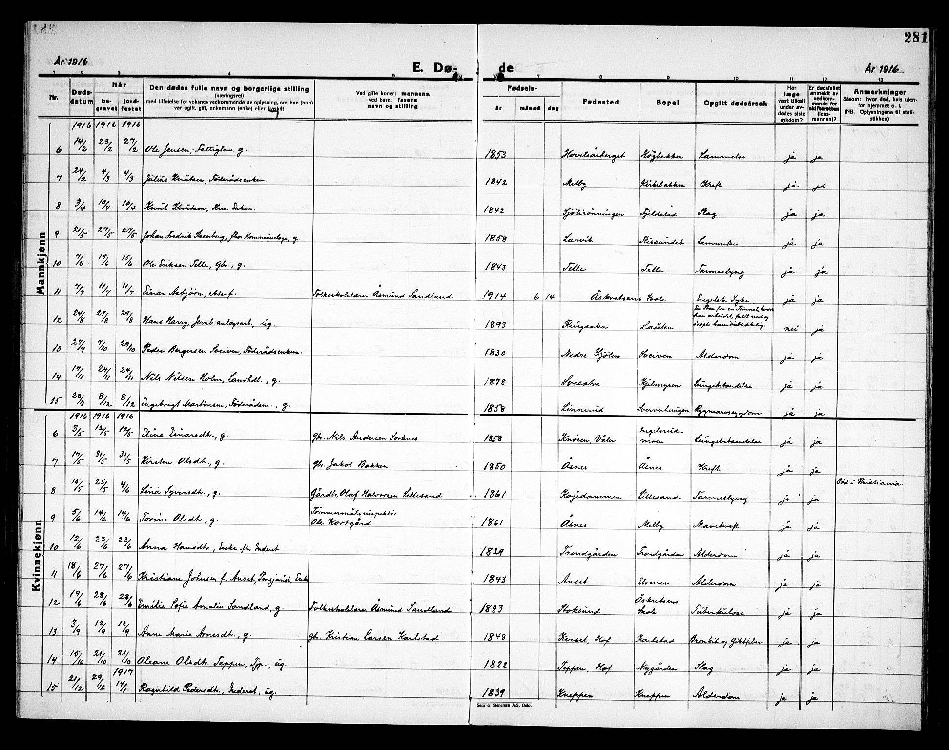 Åsnes prestekontor, AV/SAH-PREST-042/H/Ha/Haa/L0000C: Parish register (official) no. 0A, 1890-1929, p. 281