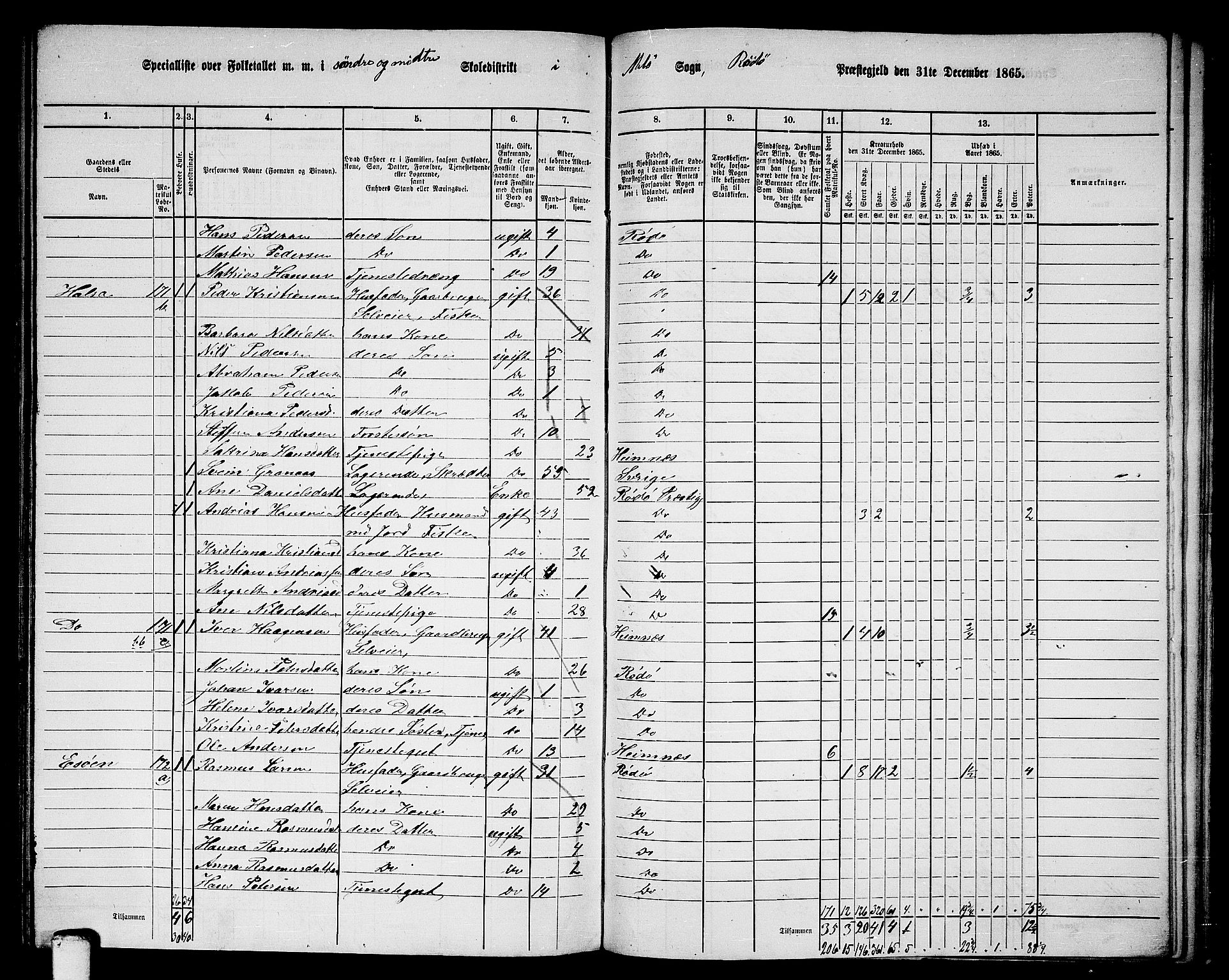 RA, 1865 census for Rødøy, 1865, p. 113