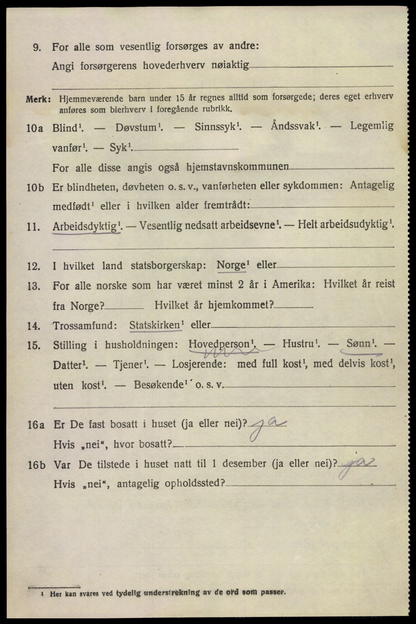 SAKO, 1920 census for Hovin, 1920, p. 1318