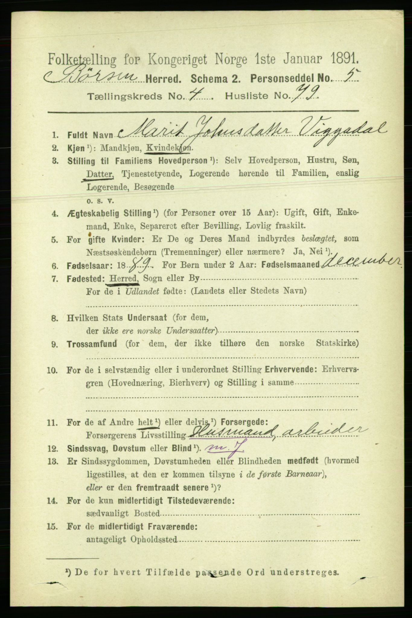 RA, 1891 census for 1658 Børsa, 1891, p. 1910