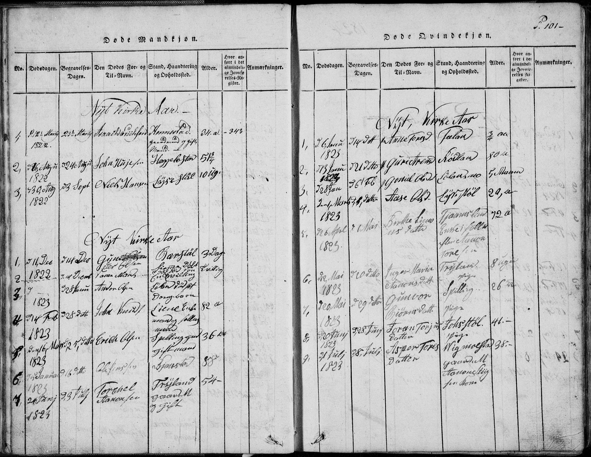 Nord-Audnedal sokneprestkontor, AV/SAK-1111-0032/F/Fb/Fbb/L0001: Parish register (copy) no. B 1, 1816-1858, p. 101