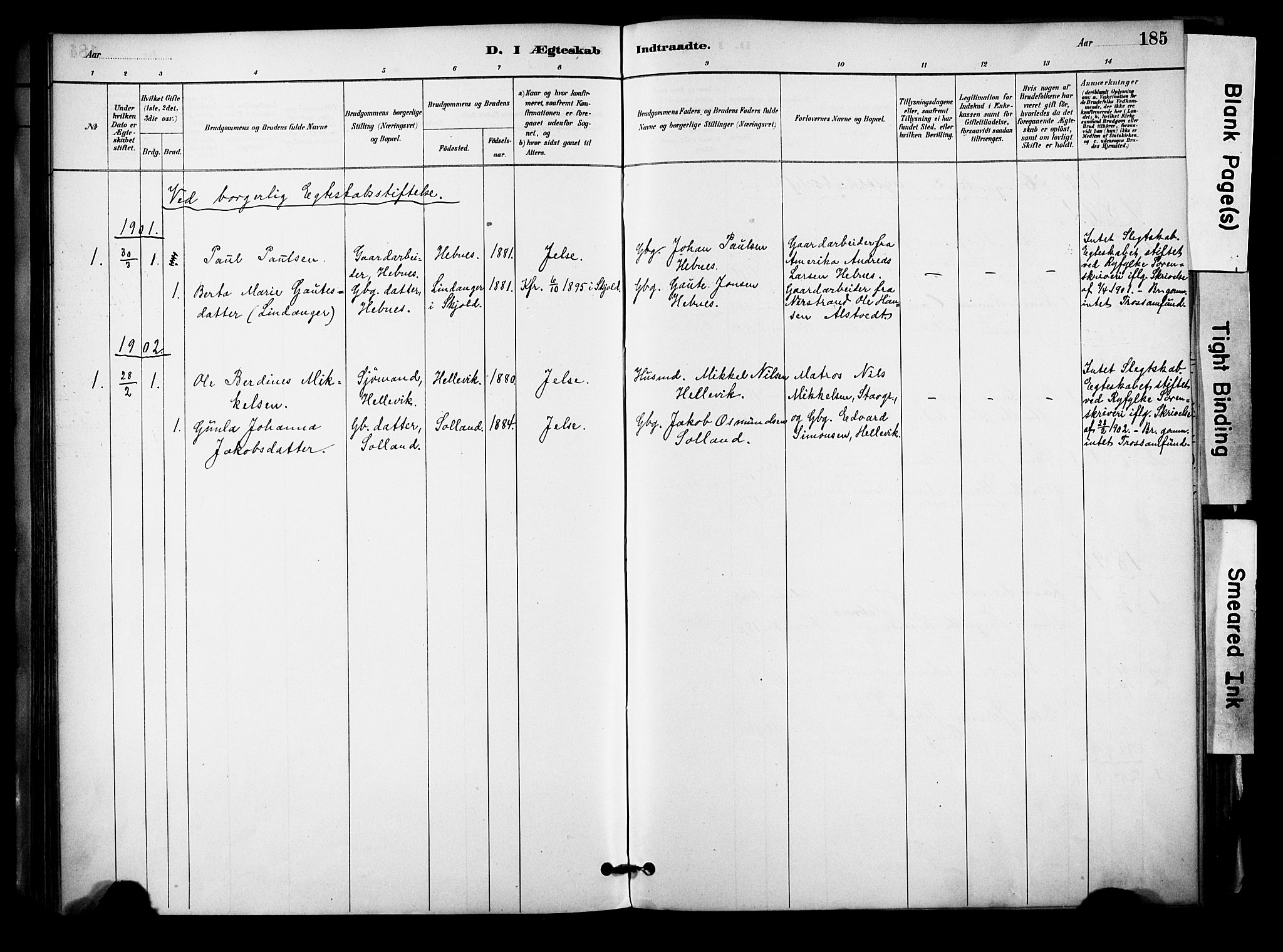 Jelsa sokneprestkontor, SAST/A-101842/01/IV: Parish register (official) no. A 10, 1884-1906, p. 185