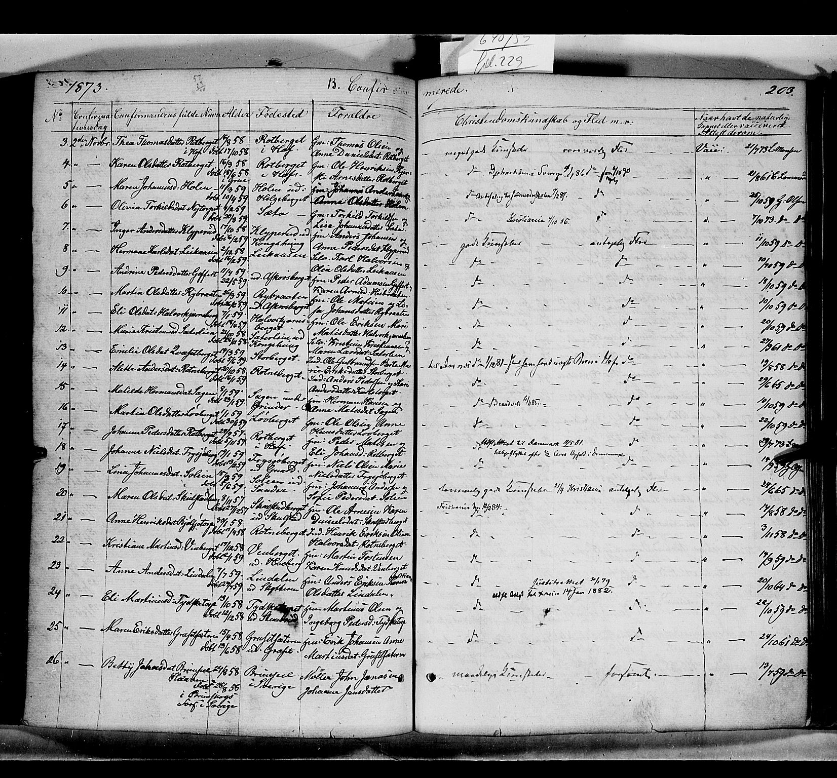 Grue prestekontor, AV/SAH-PREST-036/H/Ha/Haa/L0010: Parish register (official) no. 10, 1864-1873, p. 203