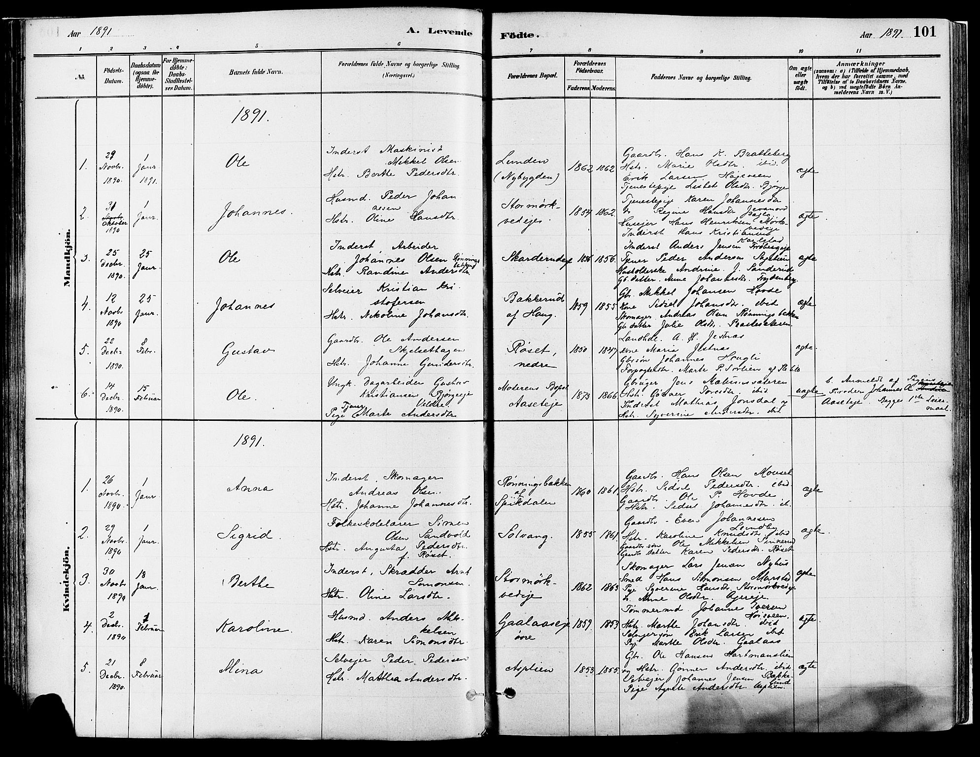 Vang prestekontor, Hedmark, SAH/PREST-008/H/Ha/Haa/L0018A: Parish register (official) no. 18A, 1880-1906, p. 101