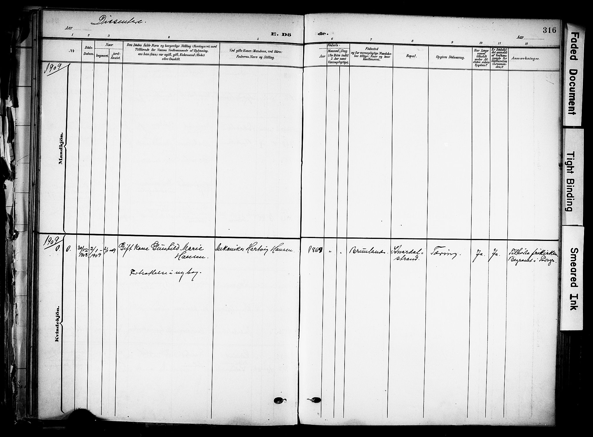 Solum kirkebøker, SAKO/A-306/F/Fa/L0011: Parish register (official) no. I 11, 1898-1909, p. 316