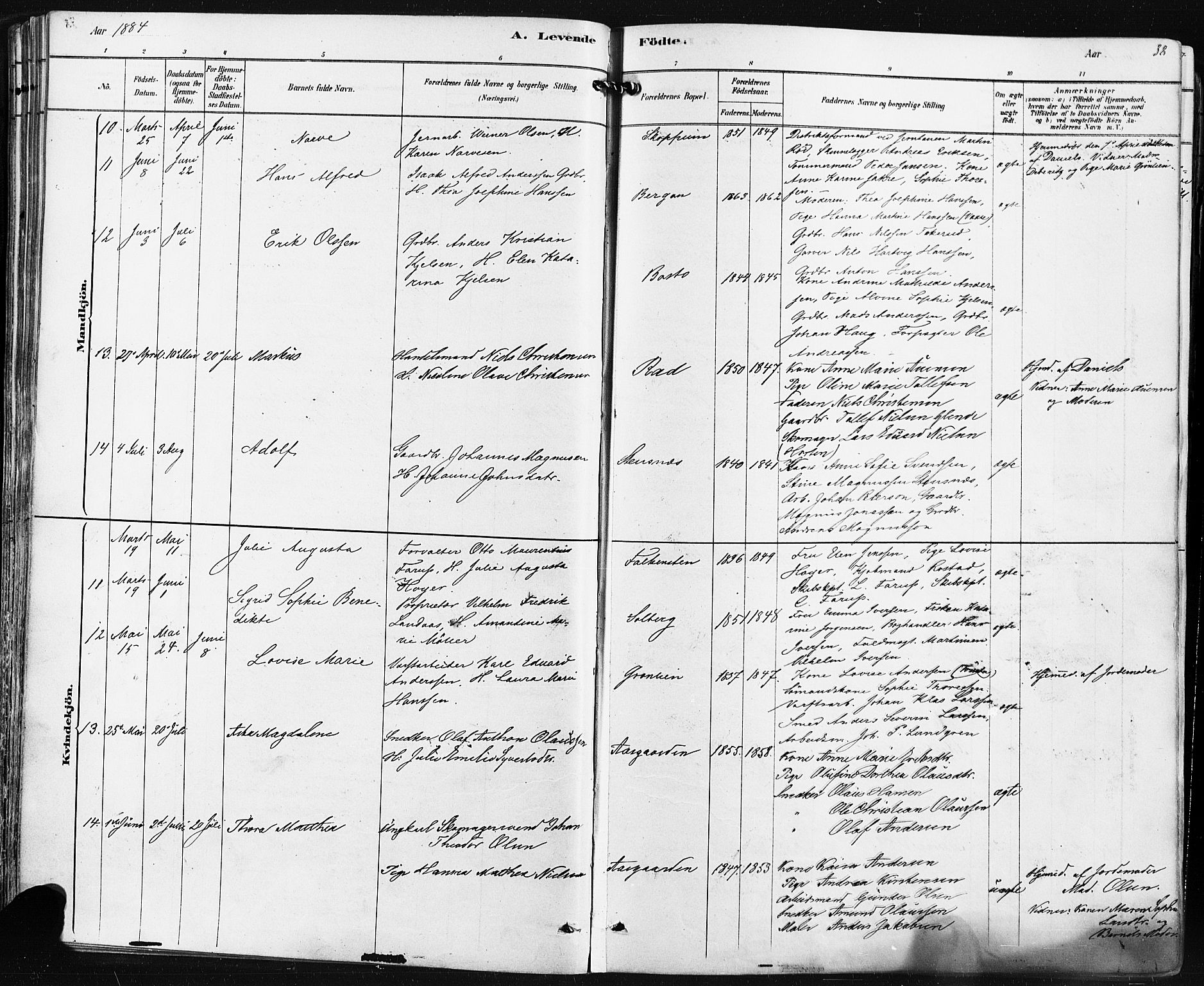 Borre kirkebøker, AV/SAKO-A-338/F/Fa/L0009: Parish register (official) no. I 9, 1878-1896, p. 38