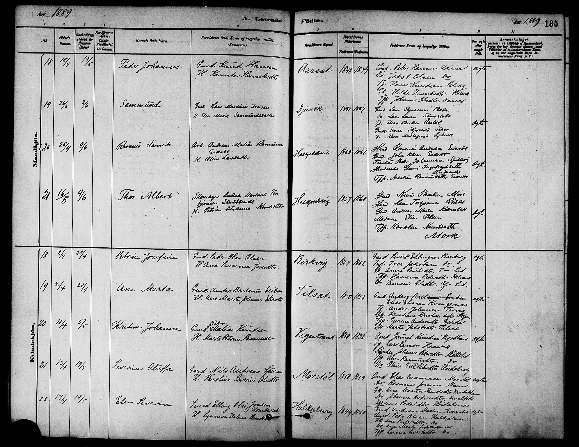 Ministerialprotokoller, klokkerbøker og fødselsregistre - Møre og Romsdal, AV/SAT-A-1454/511/L0141: Parish register (official) no. 511A08, 1878-1890, p. 135