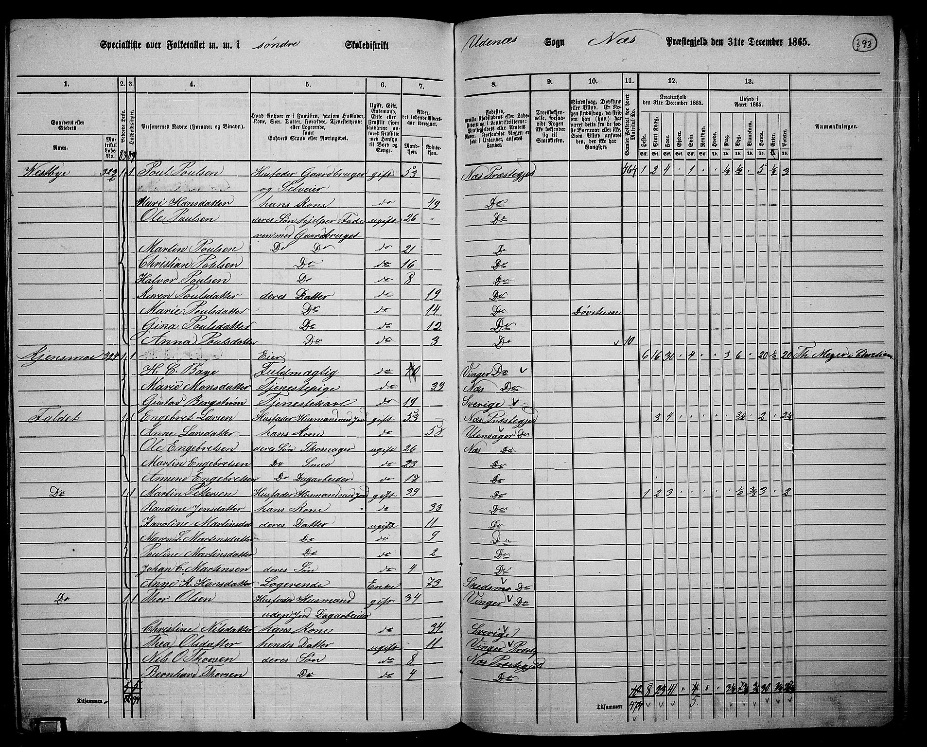 RA, 1865 census for Nes, 1865, p. 359