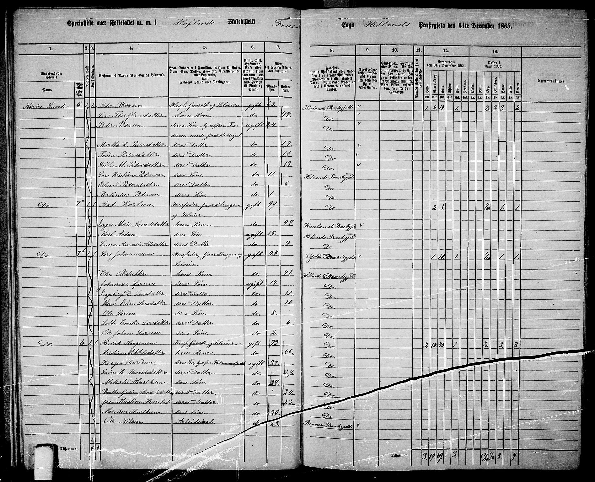 RA, 1865 census for Hetland, 1865, p. 20