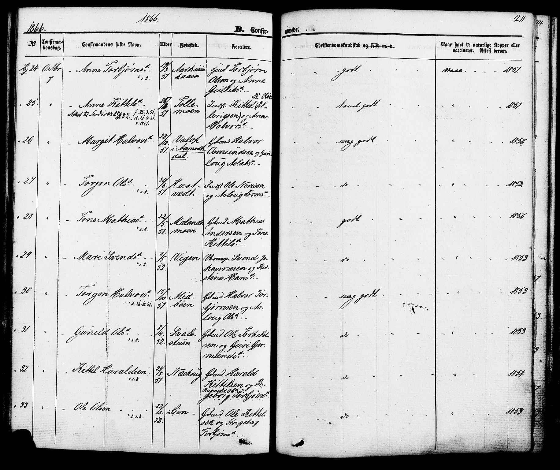 Hjartdal kirkebøker, AV/SAKO-A-270/F/Fa/L0009: Parish register (official) no. I 9, 1860-1879, p. 211