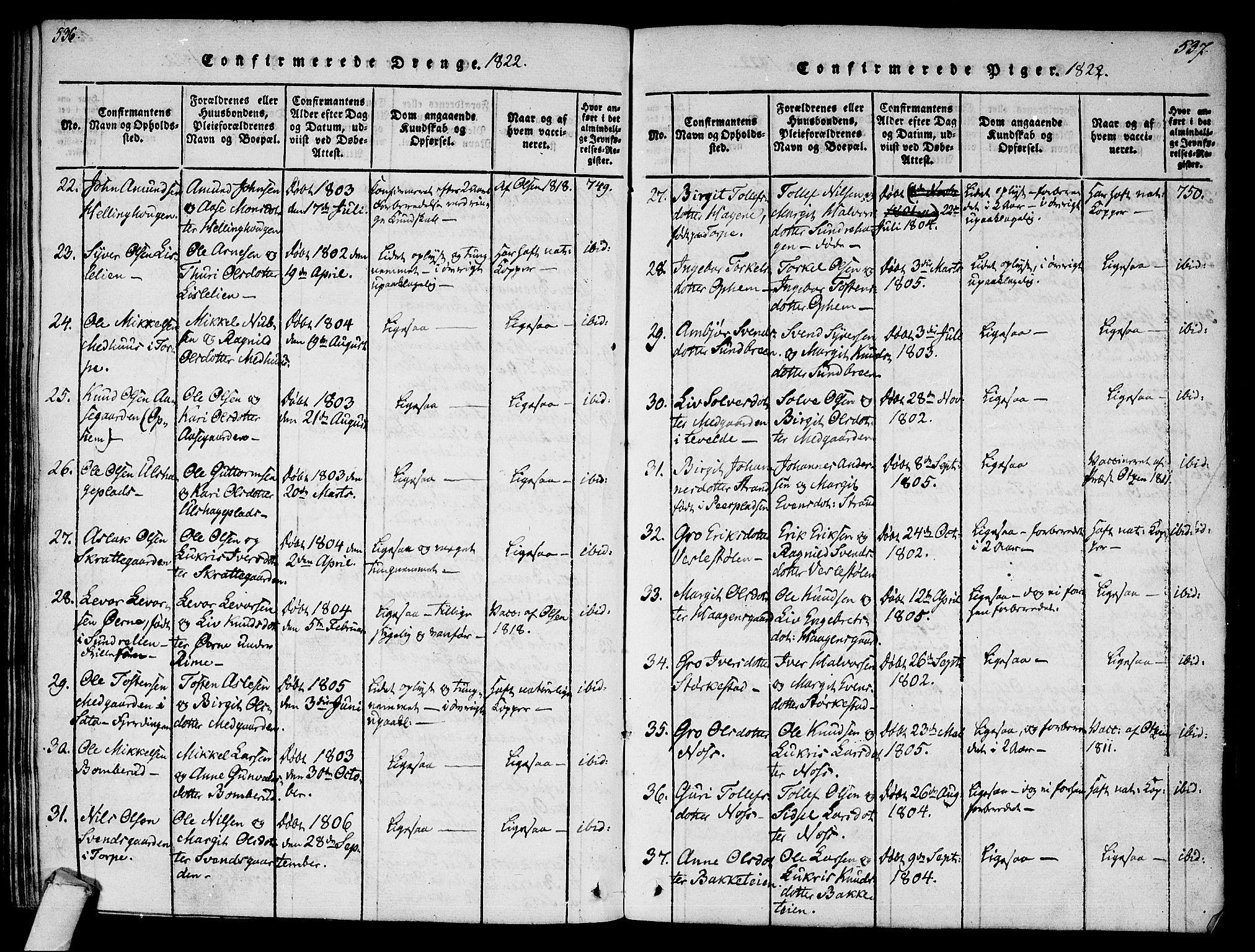 Ål kirkebøker, AV/SAKO-A-249/F/Fa/L0004: Parish register (official) no. I 4, 1815-1825, p. 536-537