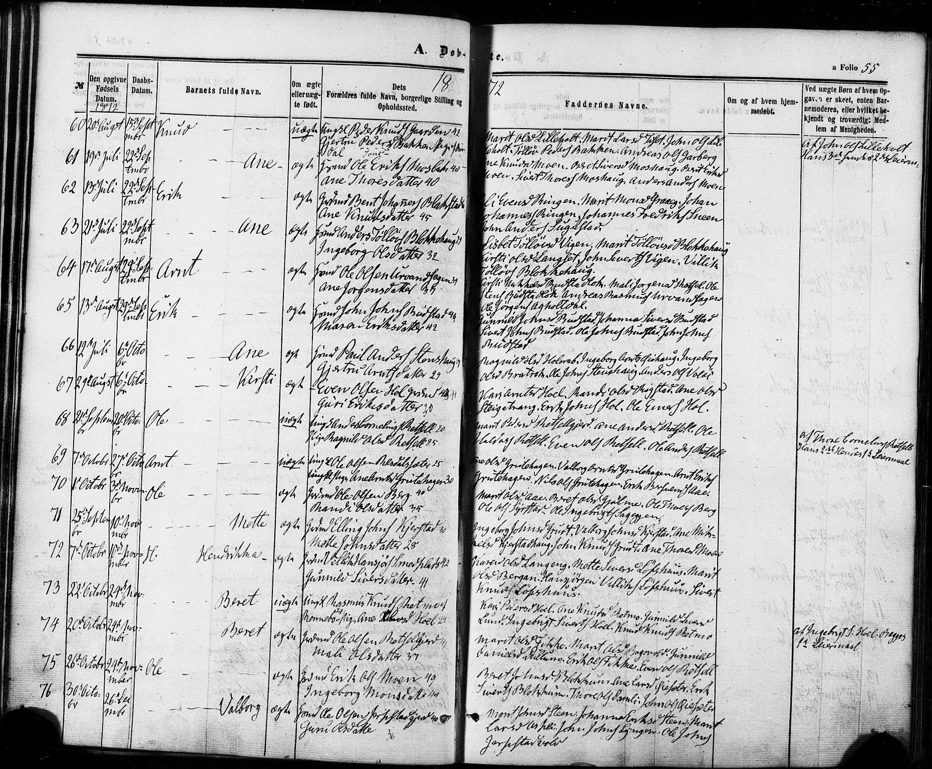 Ministerialprotokoller, klokkerbøker og fødselsregistre - Sør-Trøndelag, SAT/A-1456/672/L0856: Parish register (official) no. 672A08, 1861-1881, p. 55