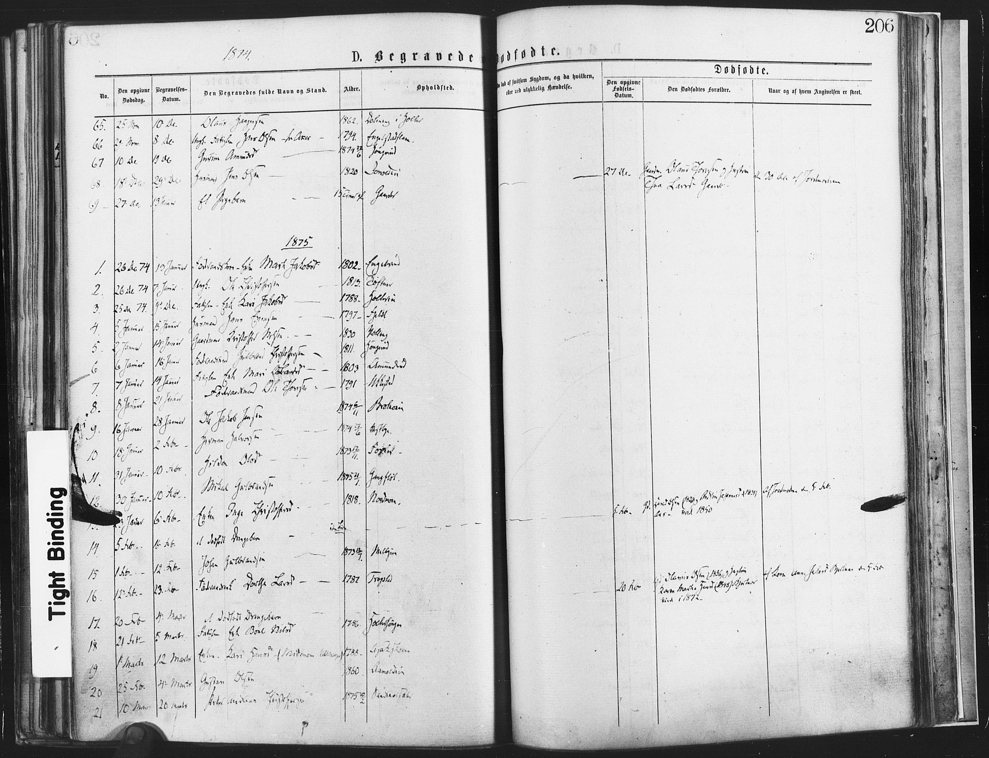 Nannestad prestekontor Kirkebøker, SAO/A-10414a/F/Fa/L0013: Parish register (official) no. I 13, 1873-1880, p. 206