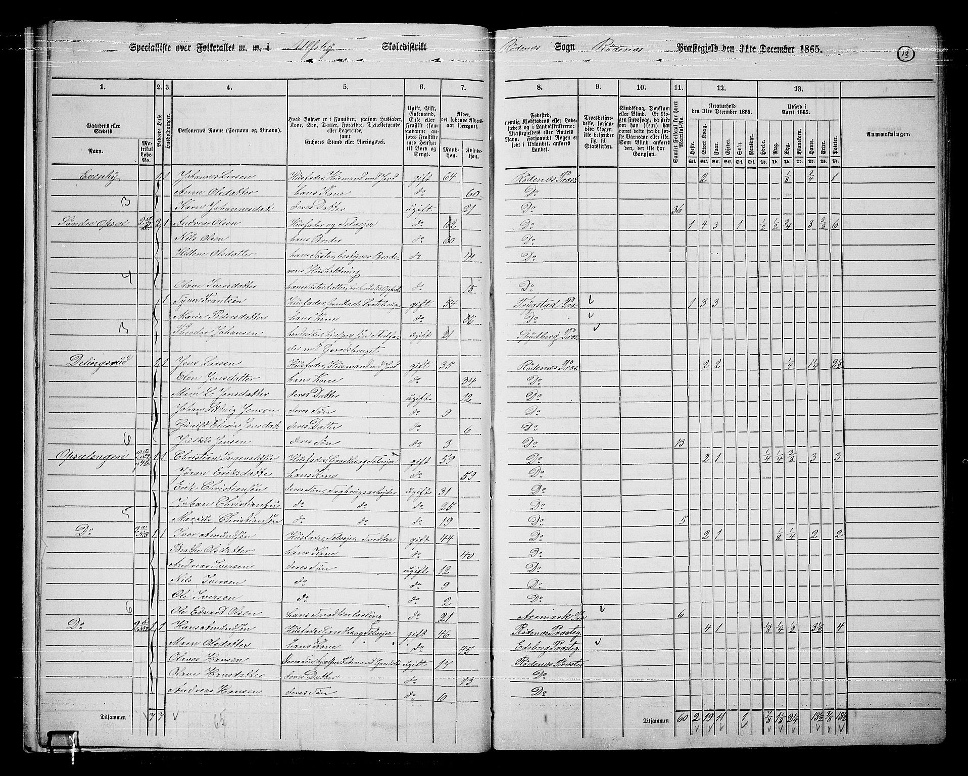 RA, 1865 census for Rødenes, 1865, p. 14