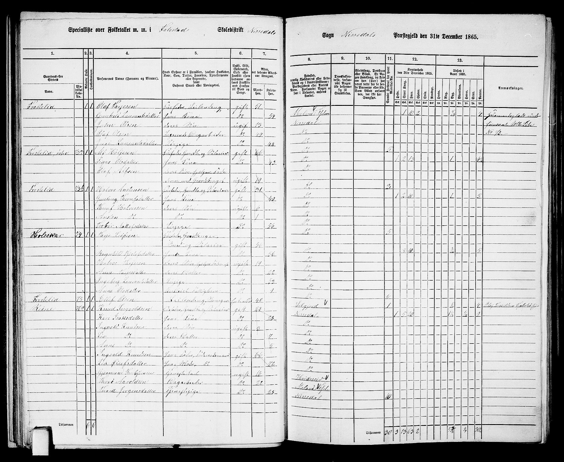 RA, 1865 census for Nissedal, 1865, p. 38