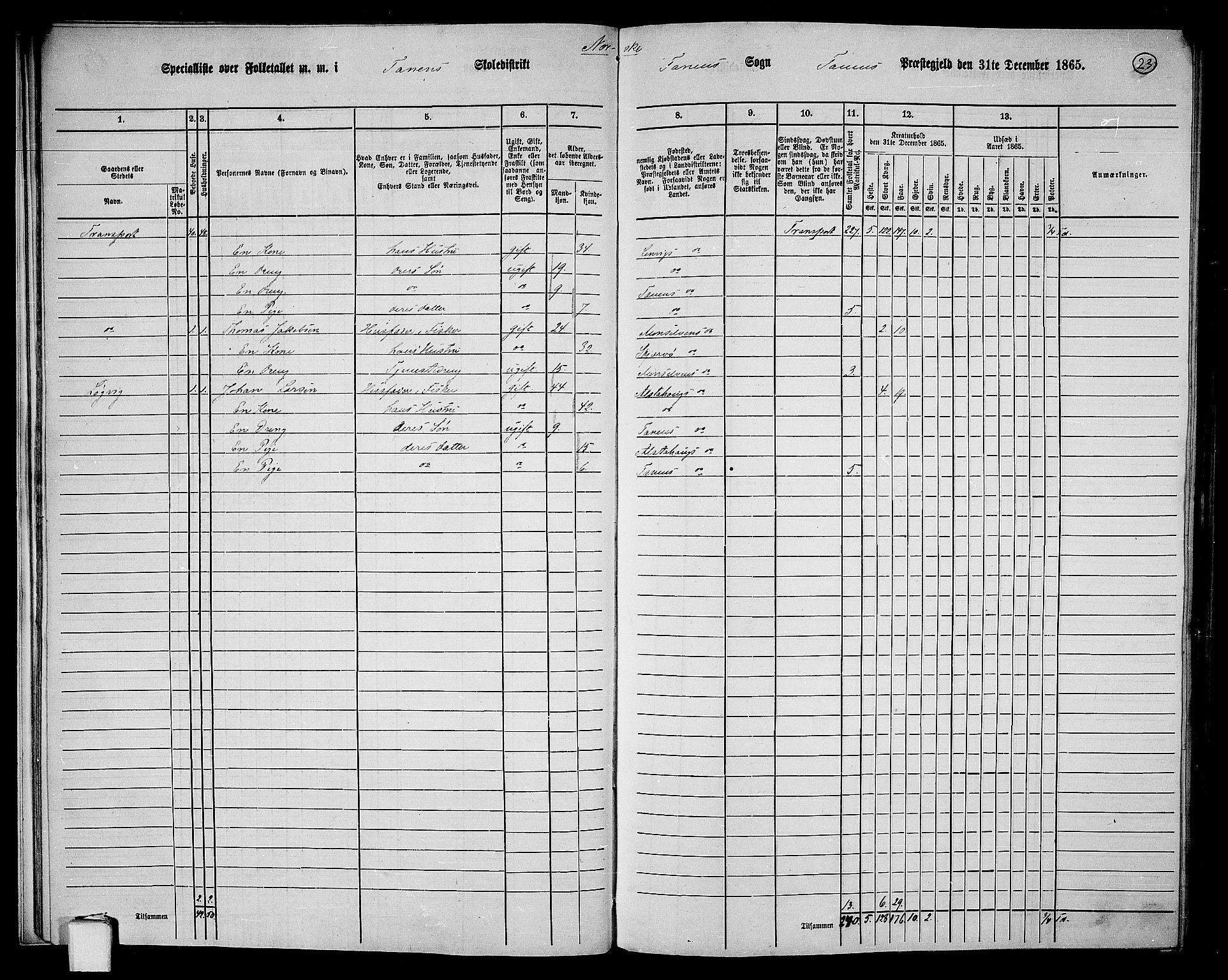 RA, 1865 census for Tana, 1865, p. 20