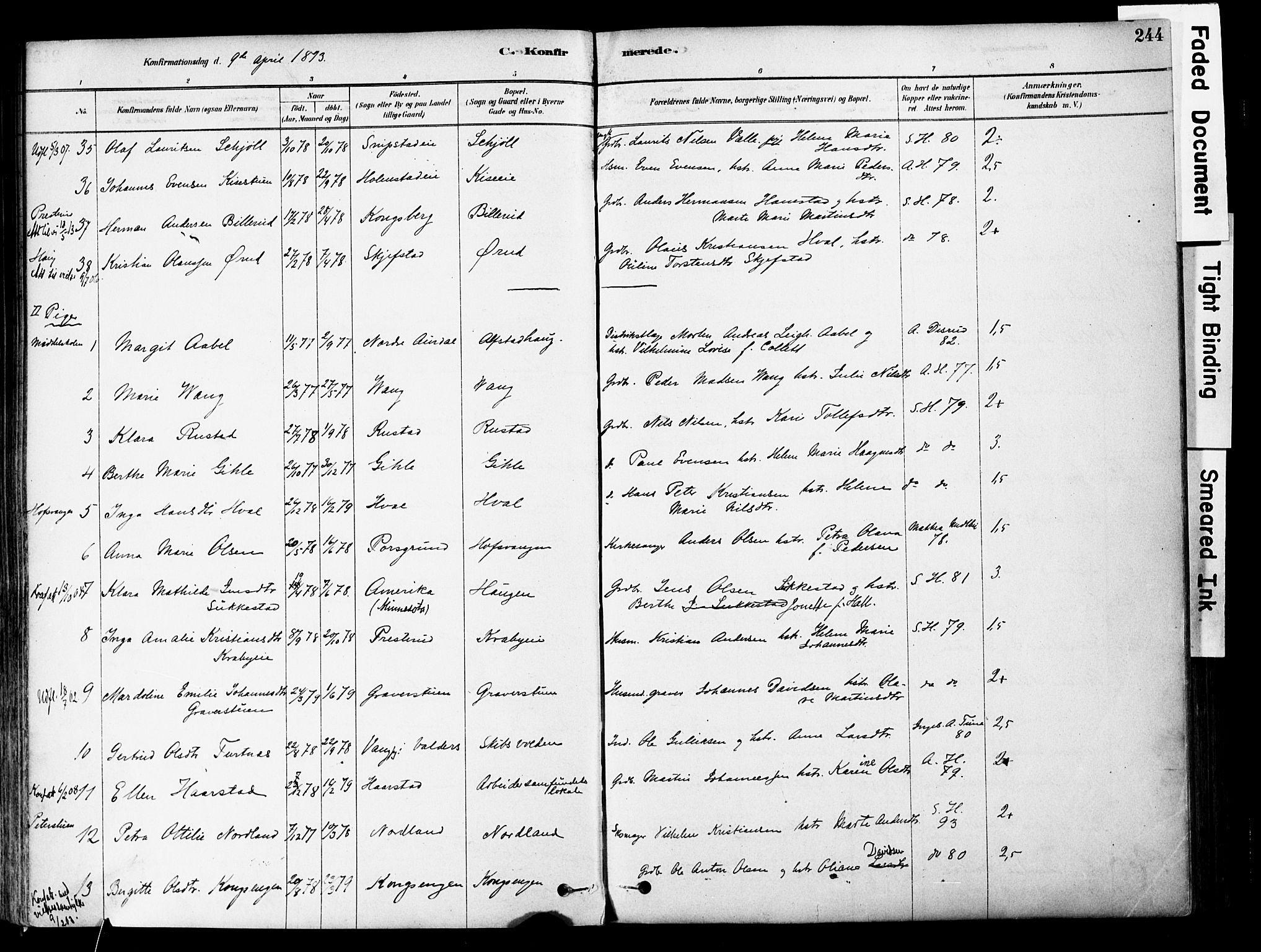 Østre Toten prestekontor, AV/SAH-PREST-104/H/Ha/Haa/L0006: Parish register (official) no. 6 /1, 1878-1896, p. 244