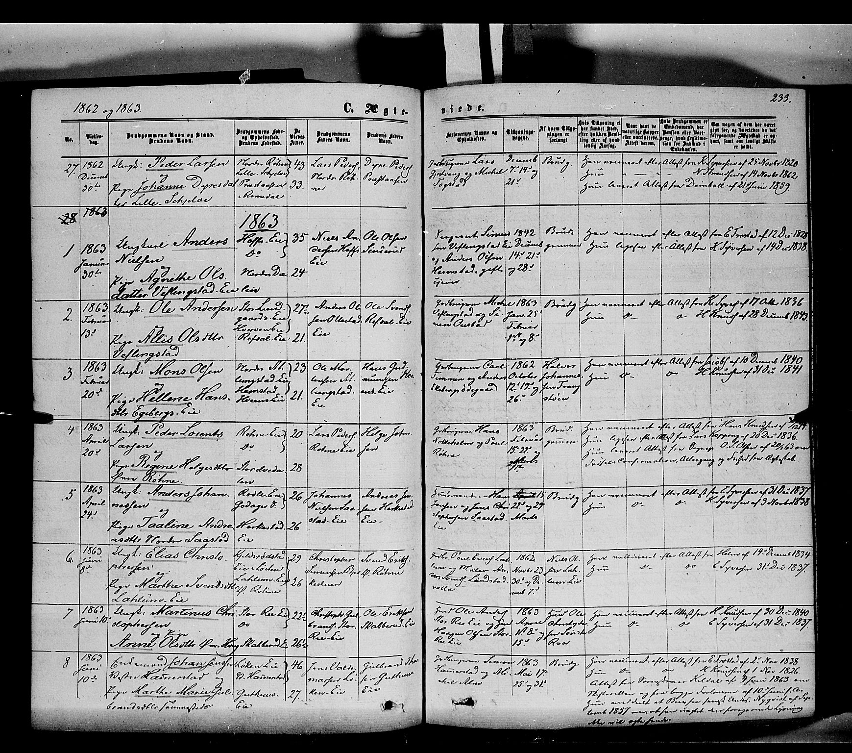 Stange prestekontor, SAH/PREST-002/K/L0013: Parish register (official) no. 13, 1862-1879, p. 233
