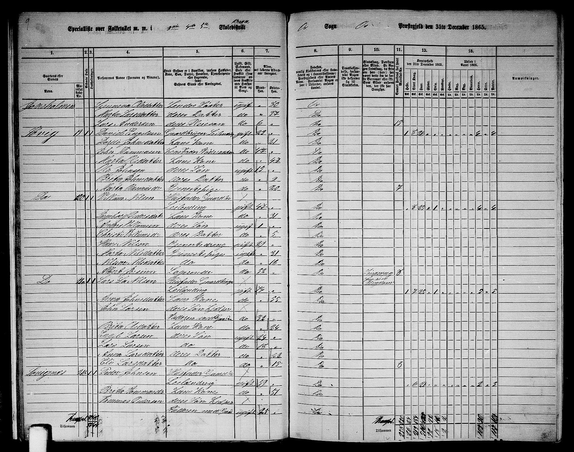 RA, 1865 census for Os, 1865, p. 20