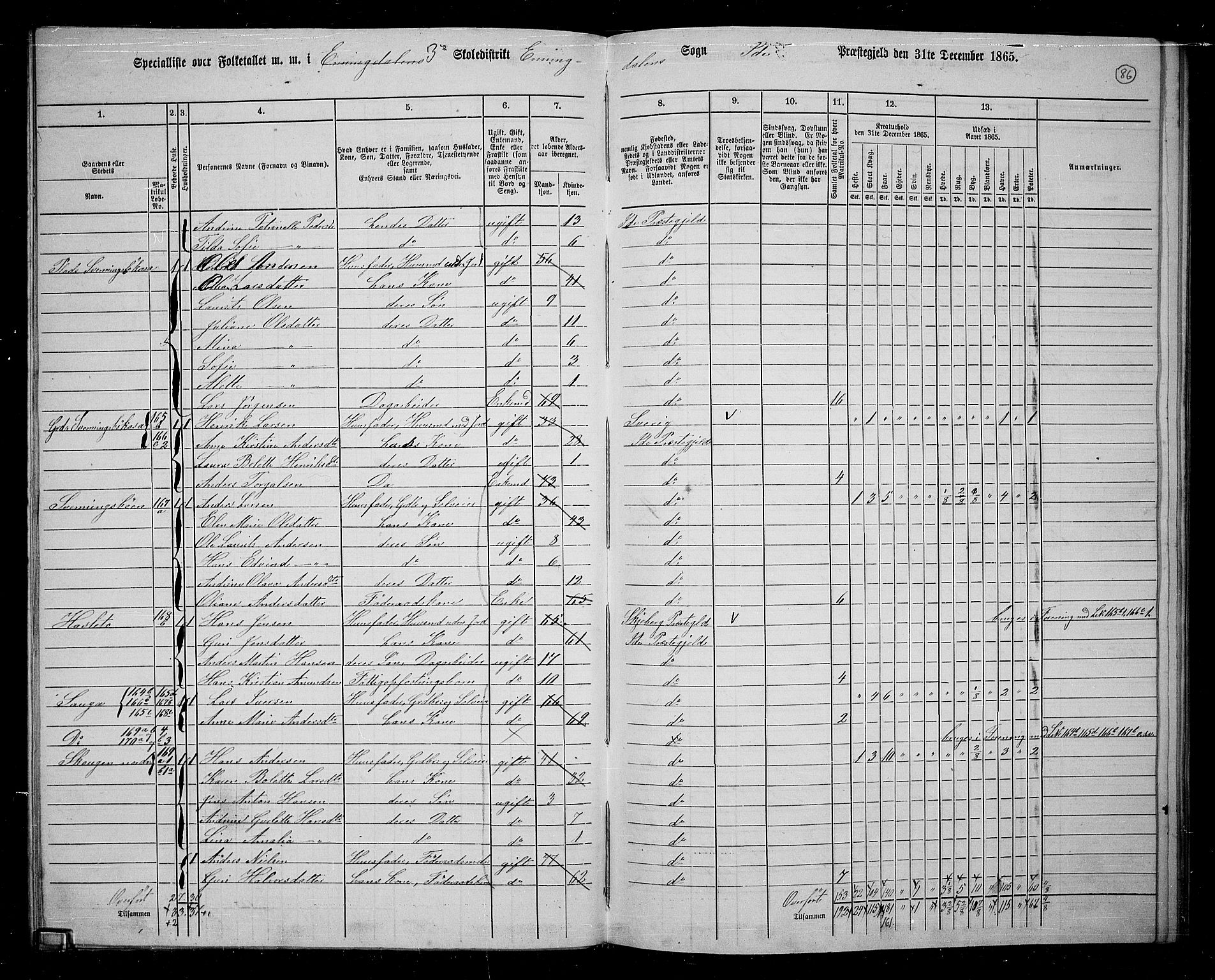 RA, 1865 census for Idd, 1865, p. 75