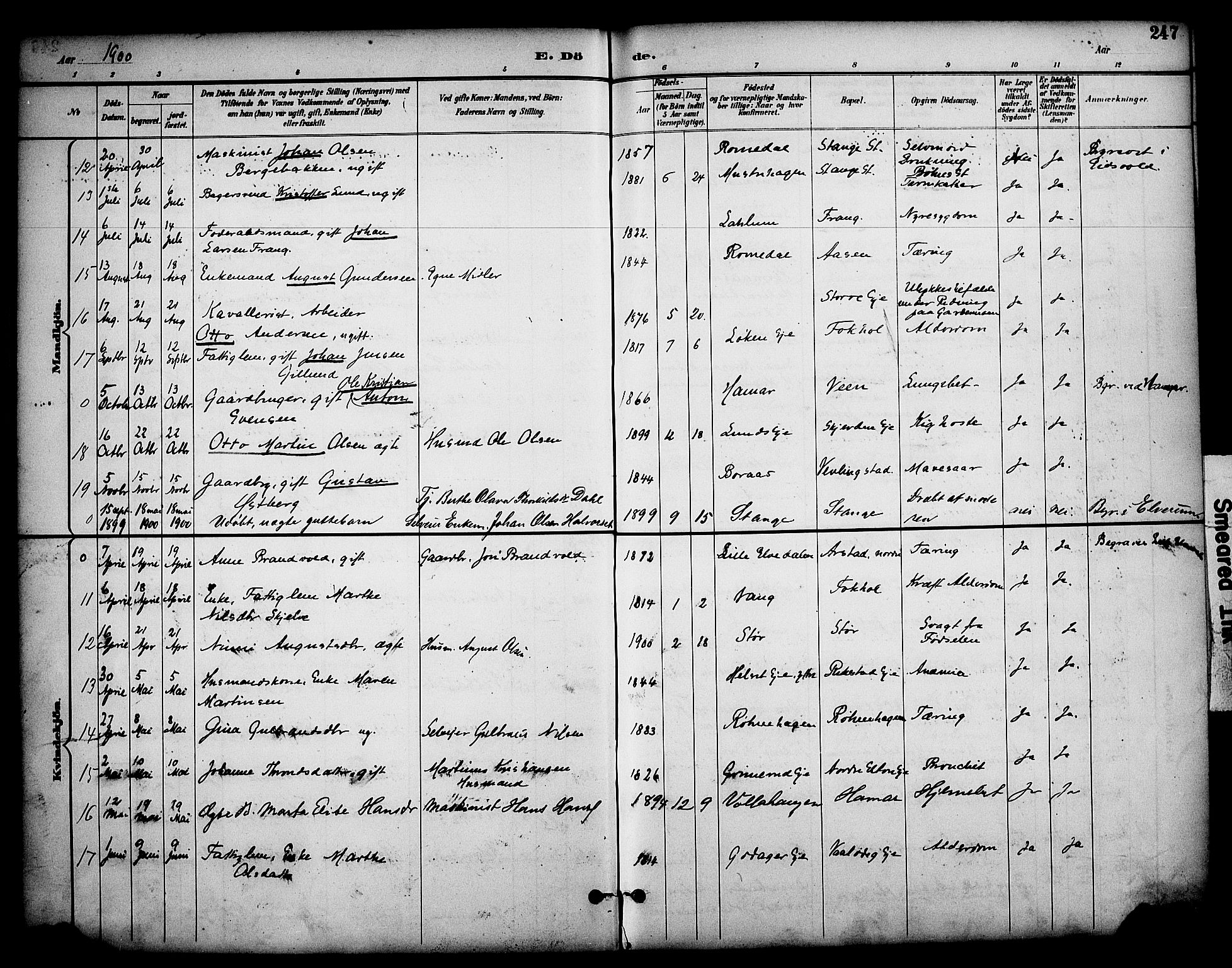 Stange prestekontor, AV/SAH-PREST-002/K/L0020: Parish register (official) no. 20, 1894-1905, p. 247