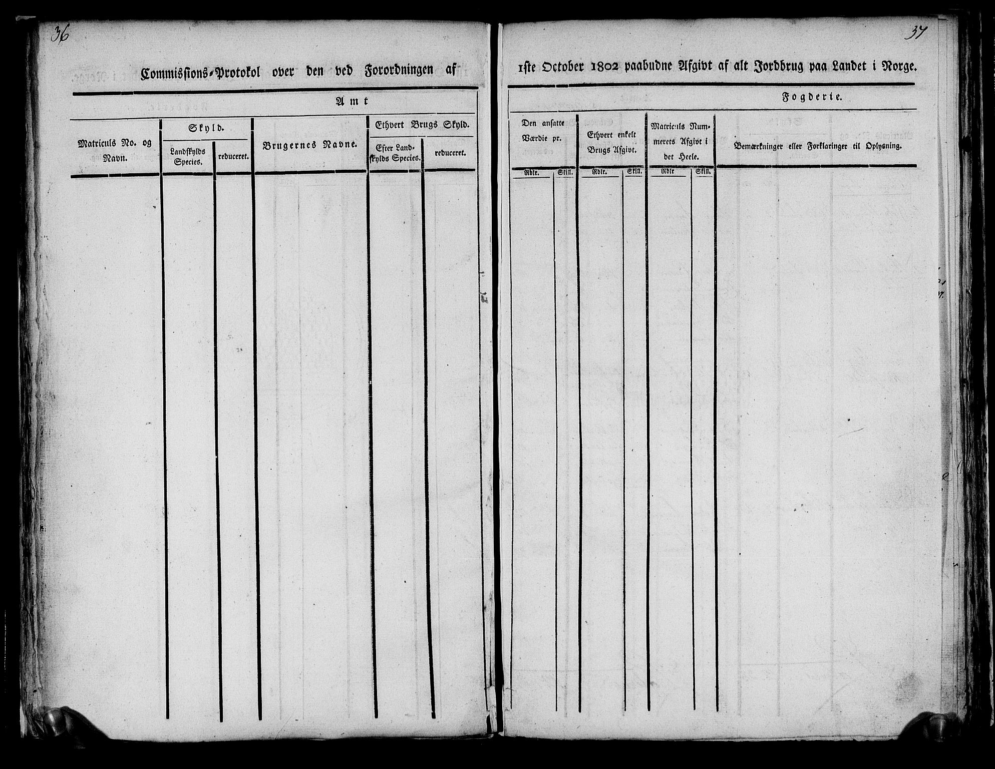 Rentekammeret inntil 1814, Realistisk ordnet avdeling, AV/RA-EA-4070/N/Ne/Nea/L0178: Larvik grevskap. Kommisjonsprotokoll, 1803, p. 21