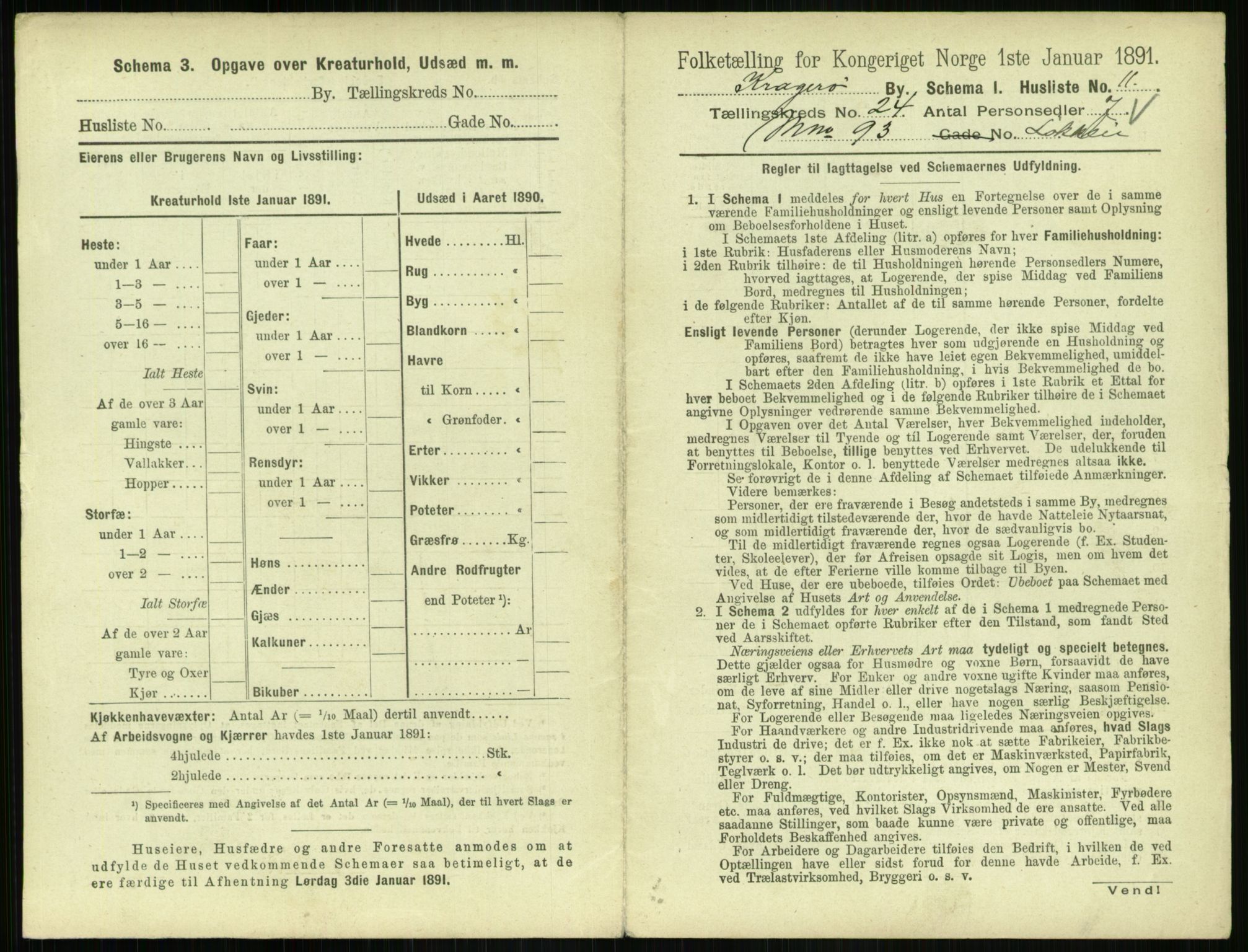 RA, 1891 census for 0801 Kragerø, 1891, p. 924