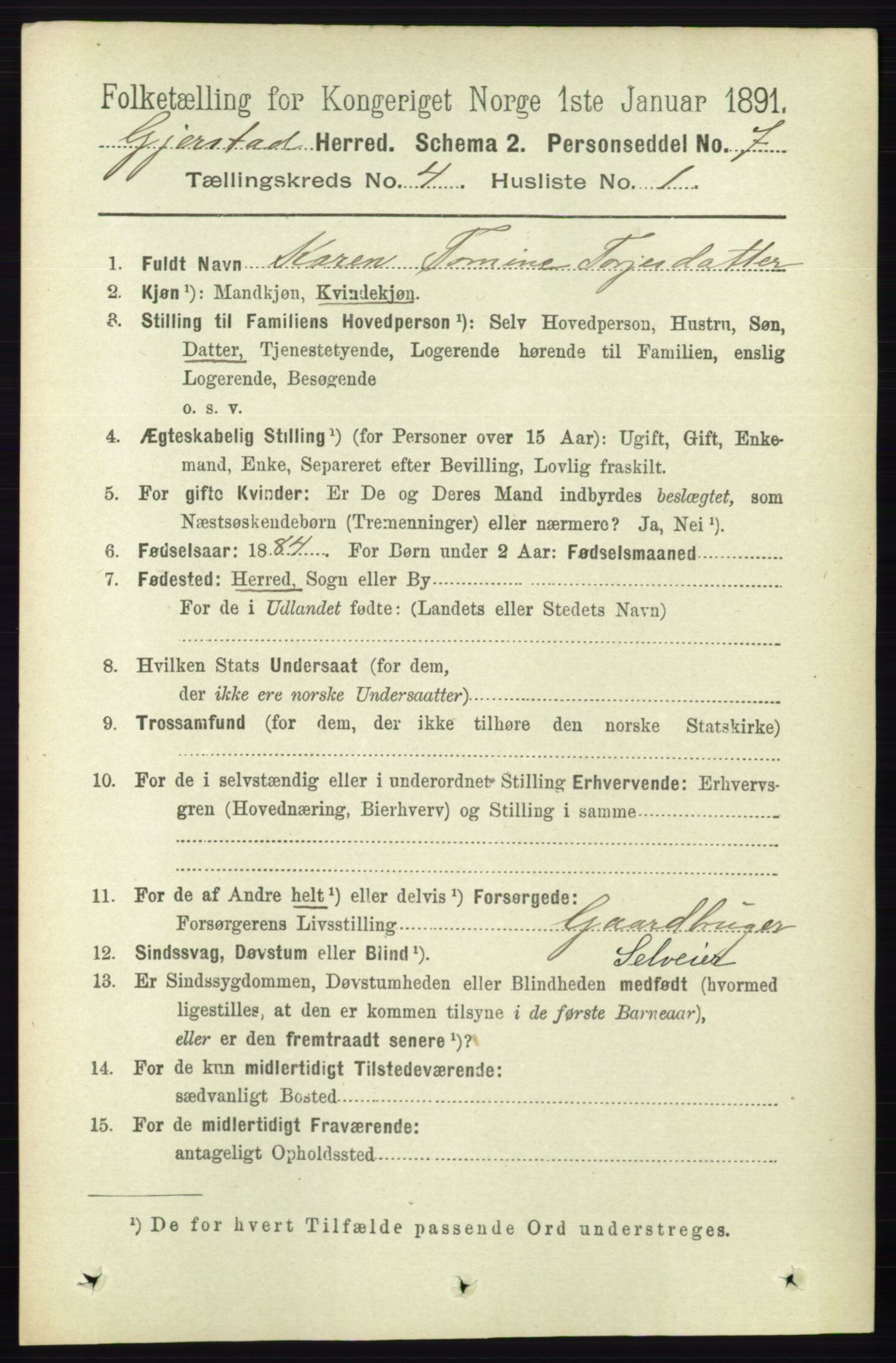 RA, 1891 census for 0911 Gjerstad, 1891, p. 1513