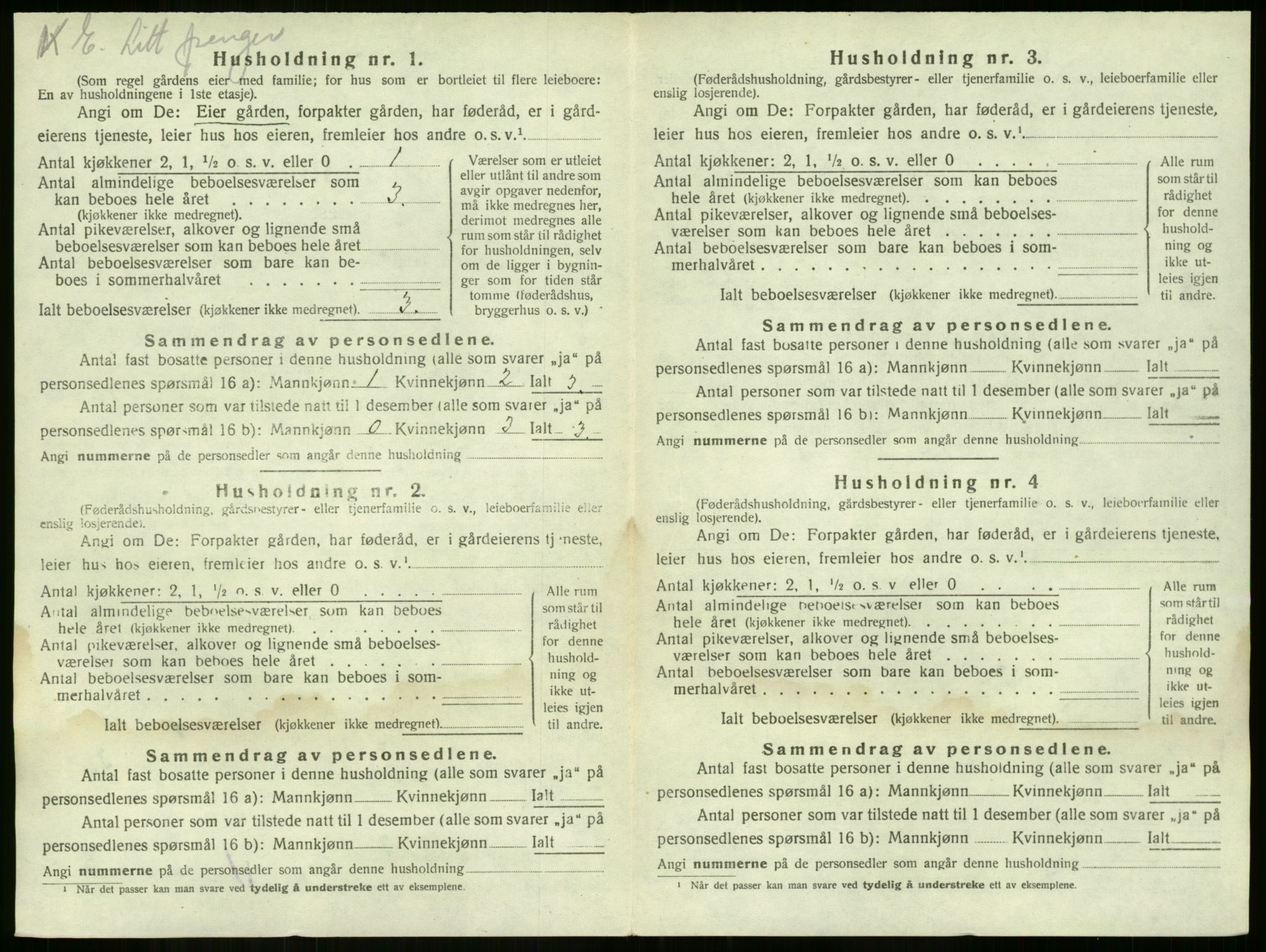 SAKO, 1920 census for Nøtterøy, 1920, p. 2565