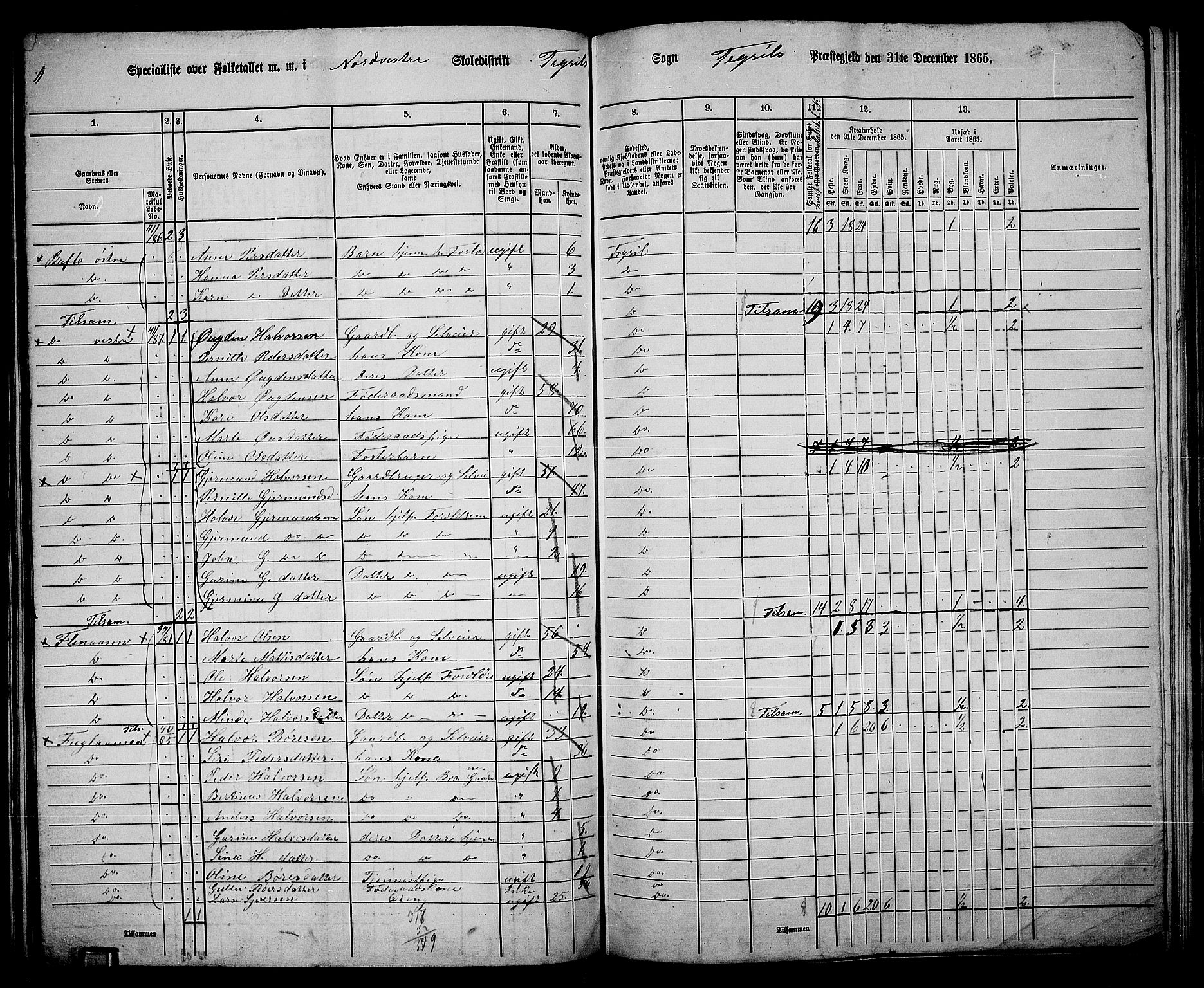 RA, 1865 census for Trysil, 1865, p. 70