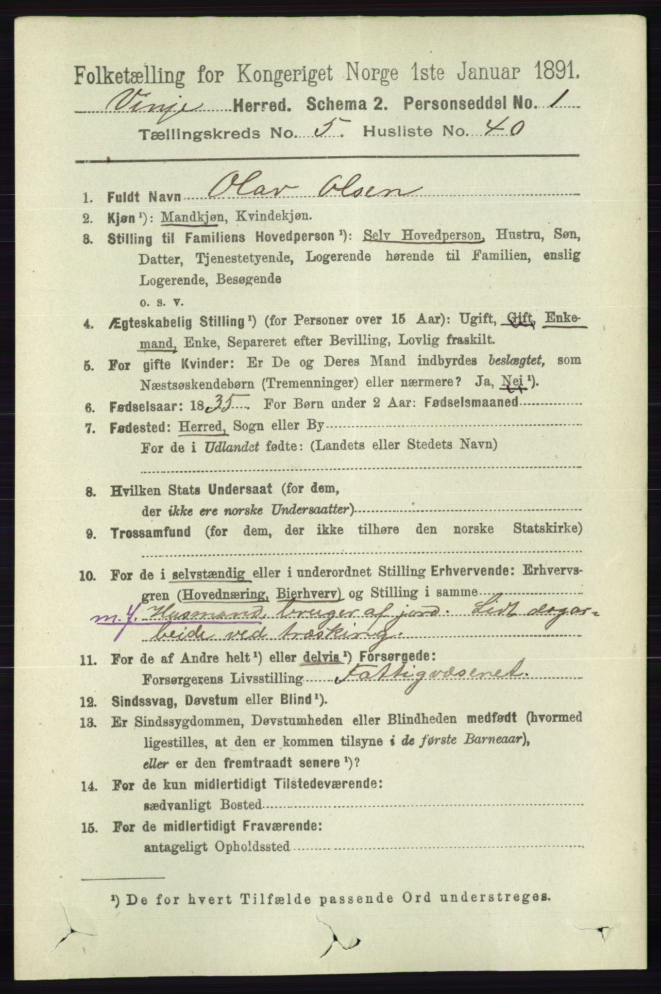 RA, 1891 census for 0834 Vinje, 1891, p. 1349