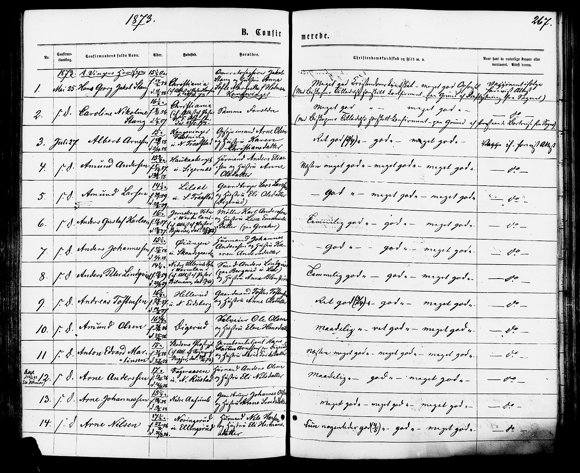 Vinger prestekontor, SAH/PREST-024/H/Ha/Haa/L0012: Parish register (official) no. 12, 1871-1880, p. 267